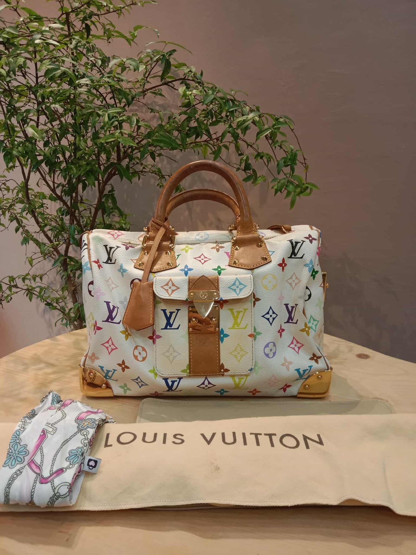 Louis Vuitton Speedy 30 Multicolor Monogram