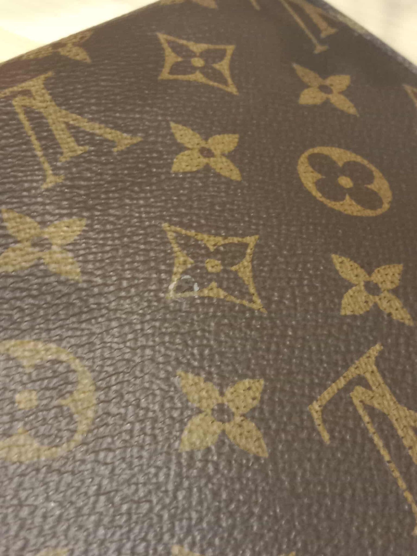Louis Vuitton Monogram Envelope Pouch