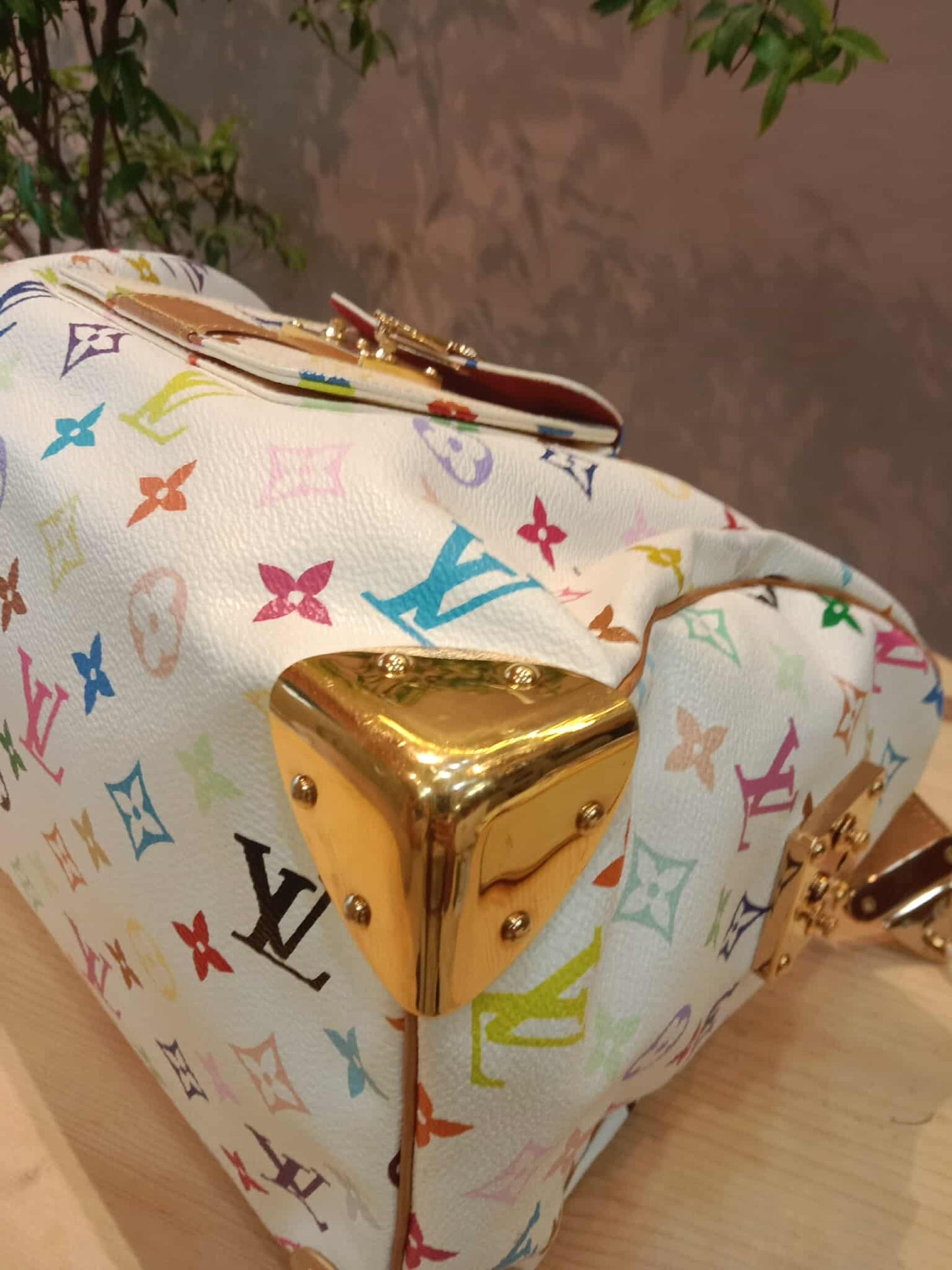 Louis Vuitton Speedy 30 Multicolor Monogram