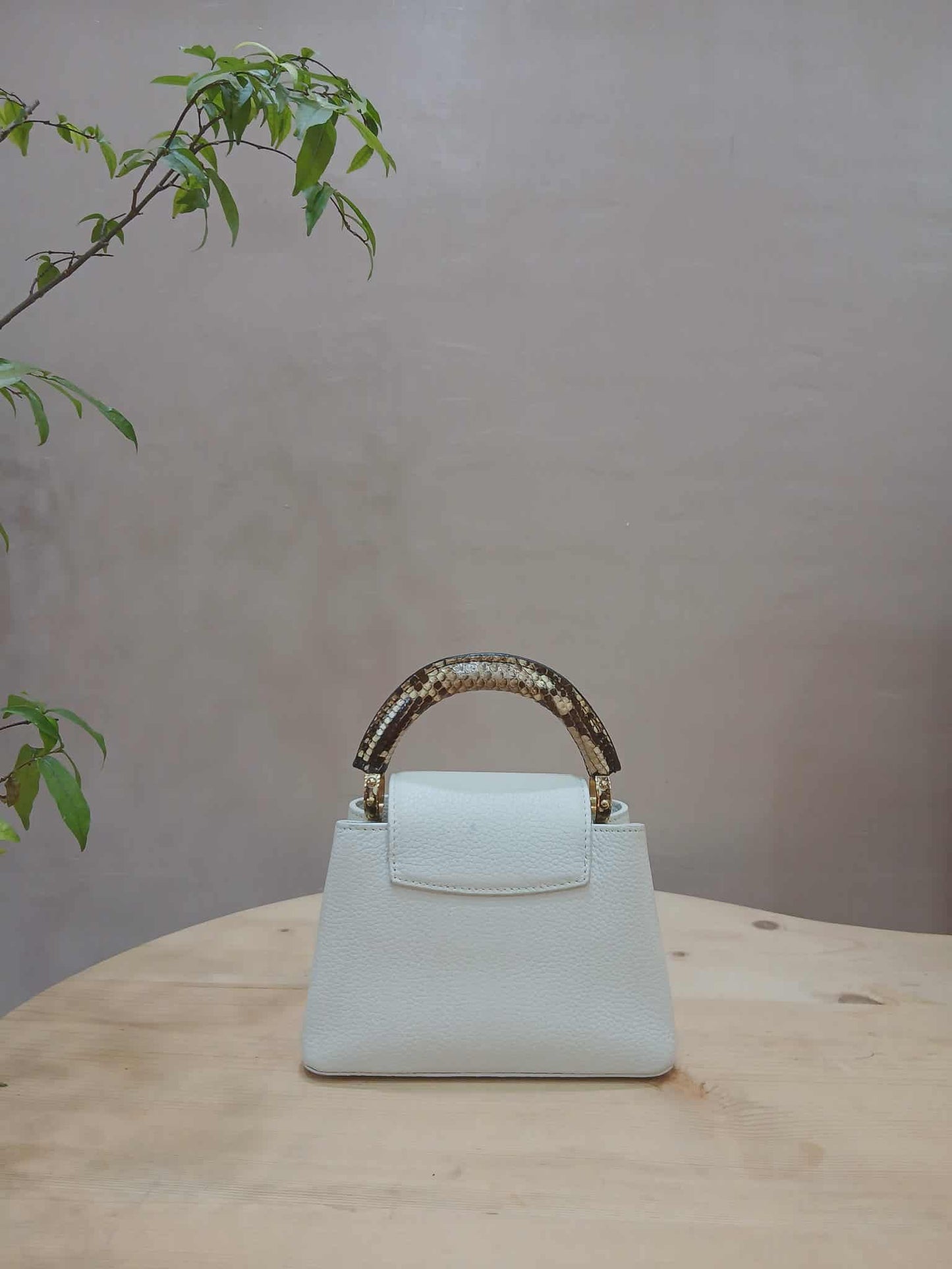 Louis Vuitton Mini Capucine Snakeskin Handle White