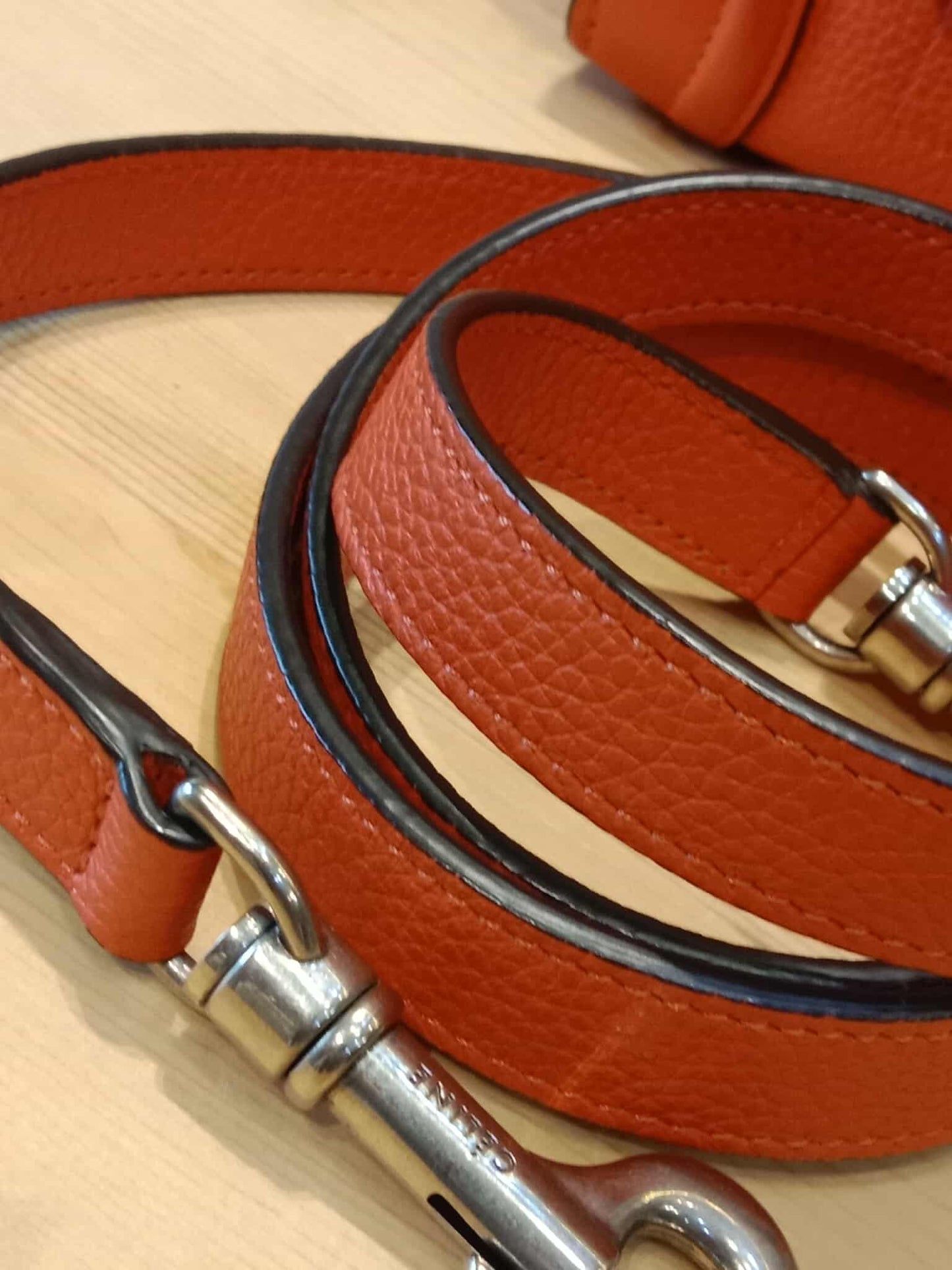 Celine Luggage Nano Red