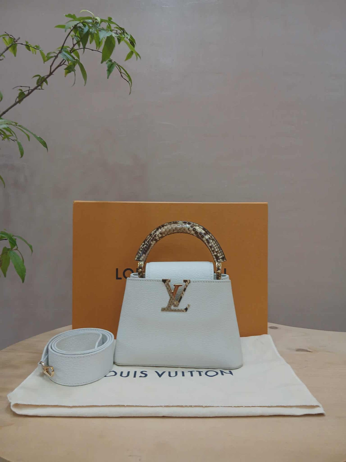 Louis Vuitton Mini Capucine Snakeskin Handle White