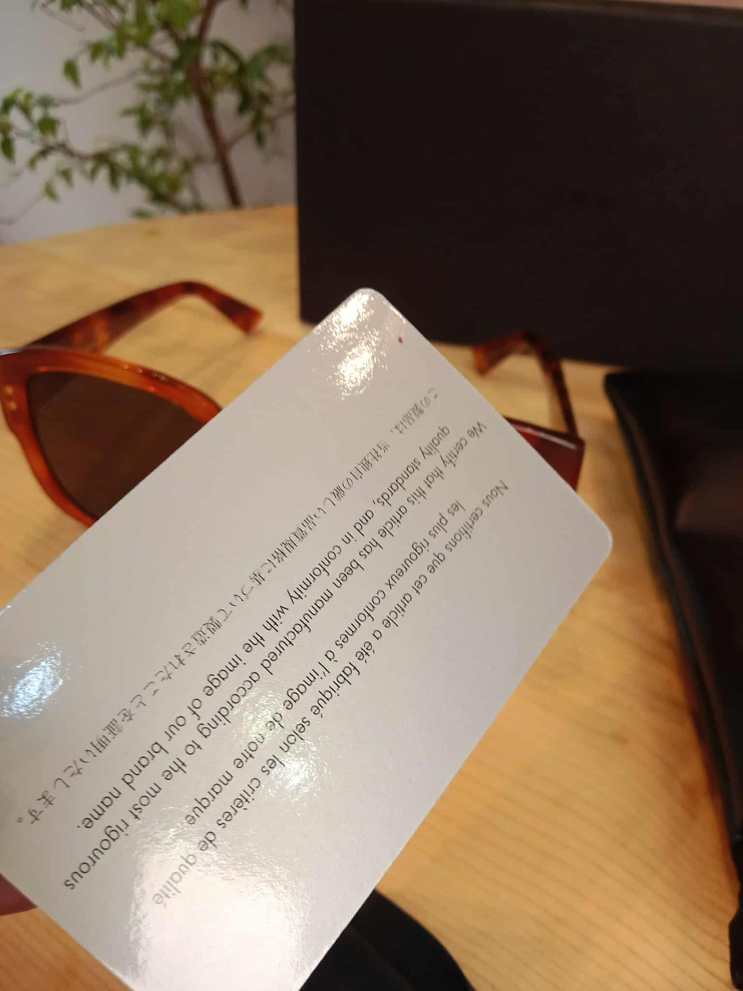 Dior Brown Shades