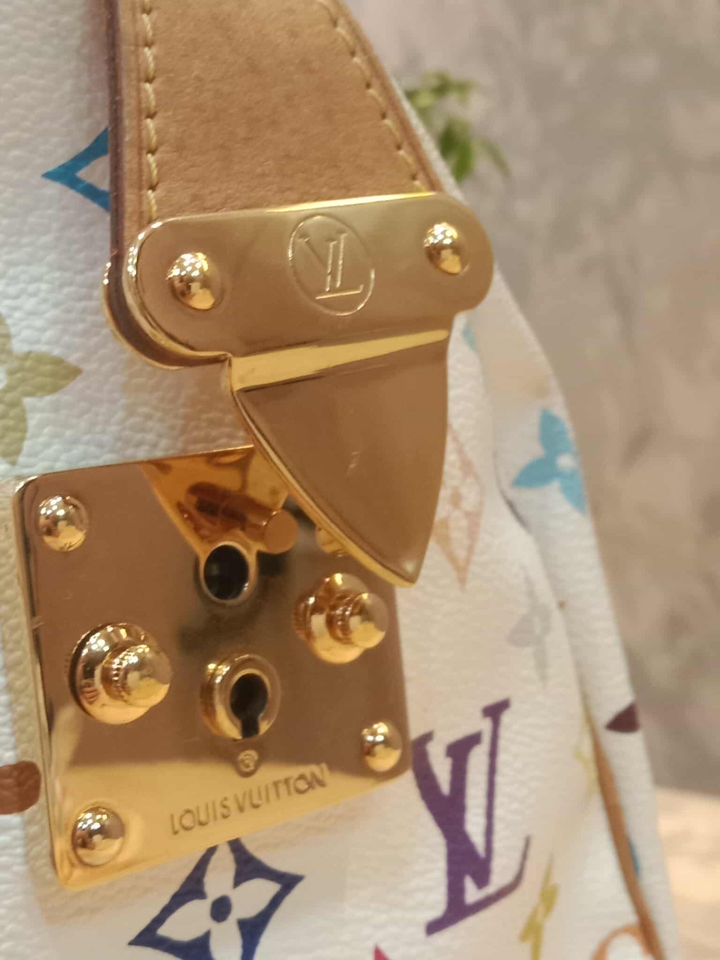 Louis Vuitton Speedy 30 Multicolor Monogram