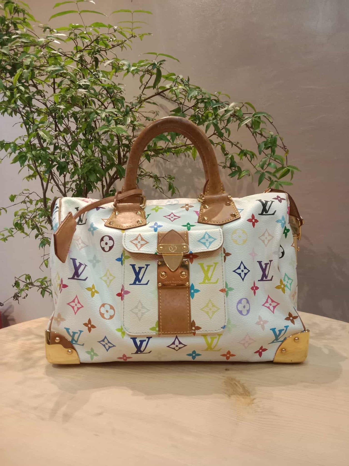 Louis Vuitton Speedy 30 Multicolor Monogram