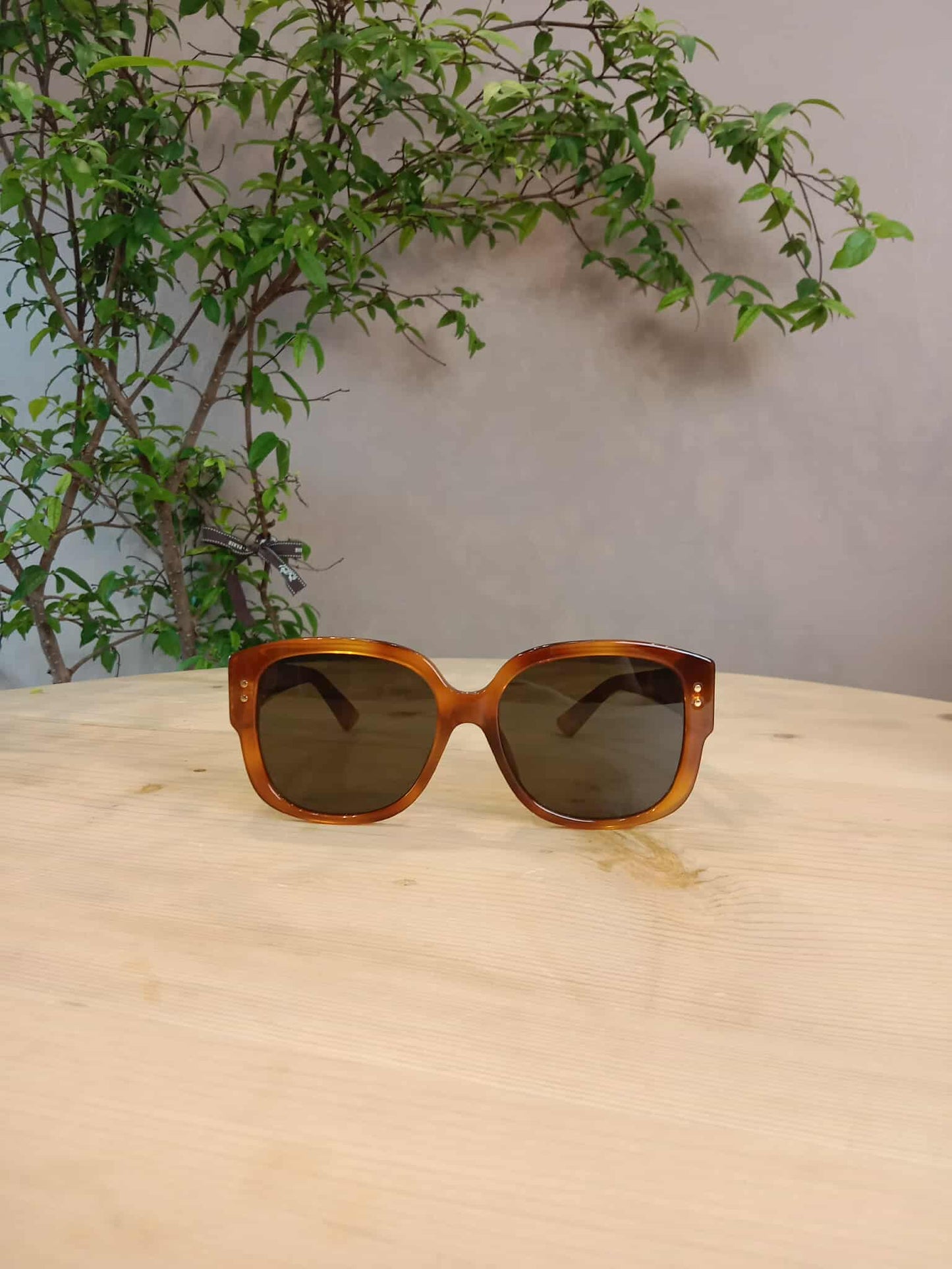 Dior Brown Shades
