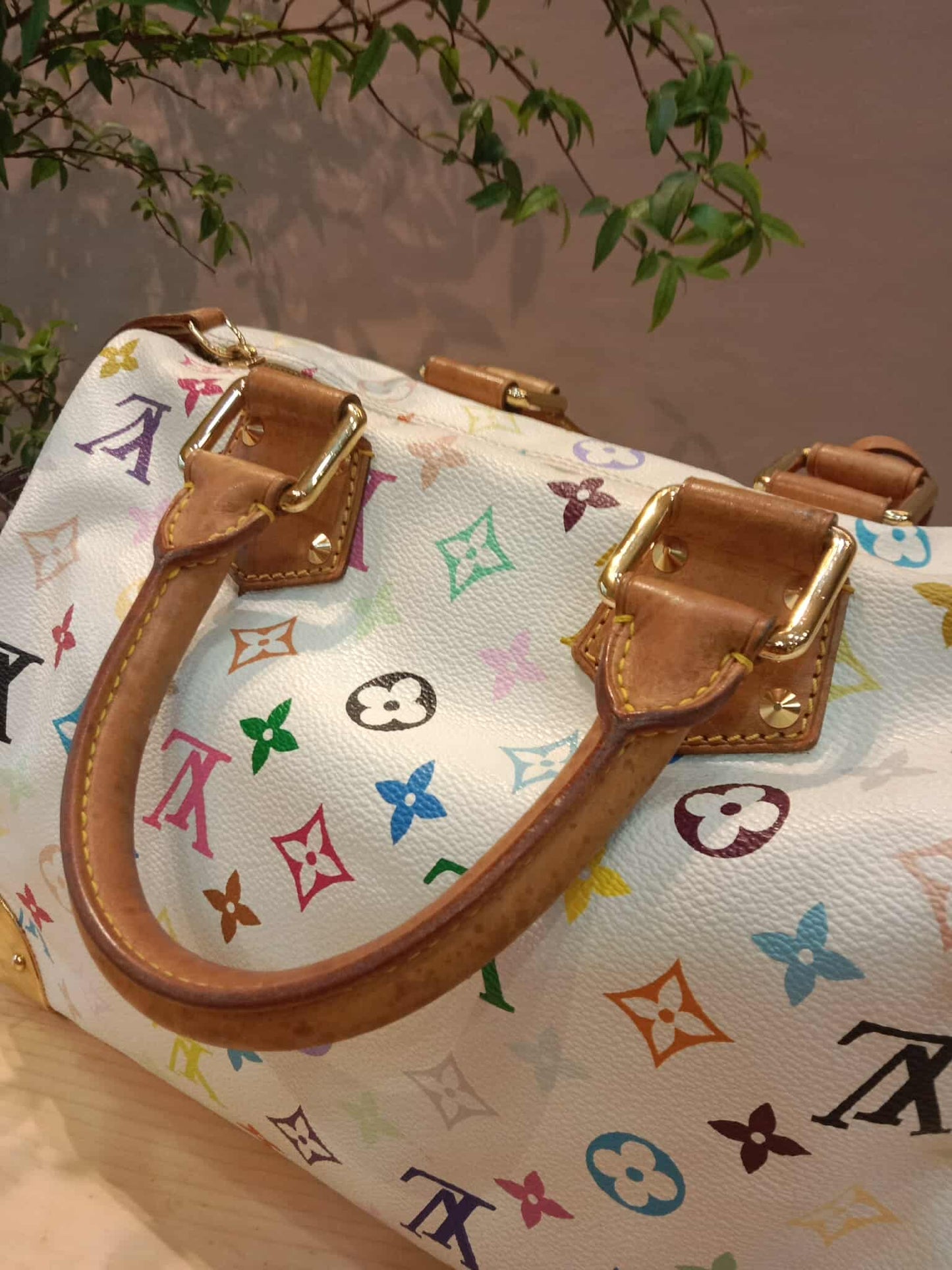Louis Vuitton Speedy 30 Multicolor Monogram