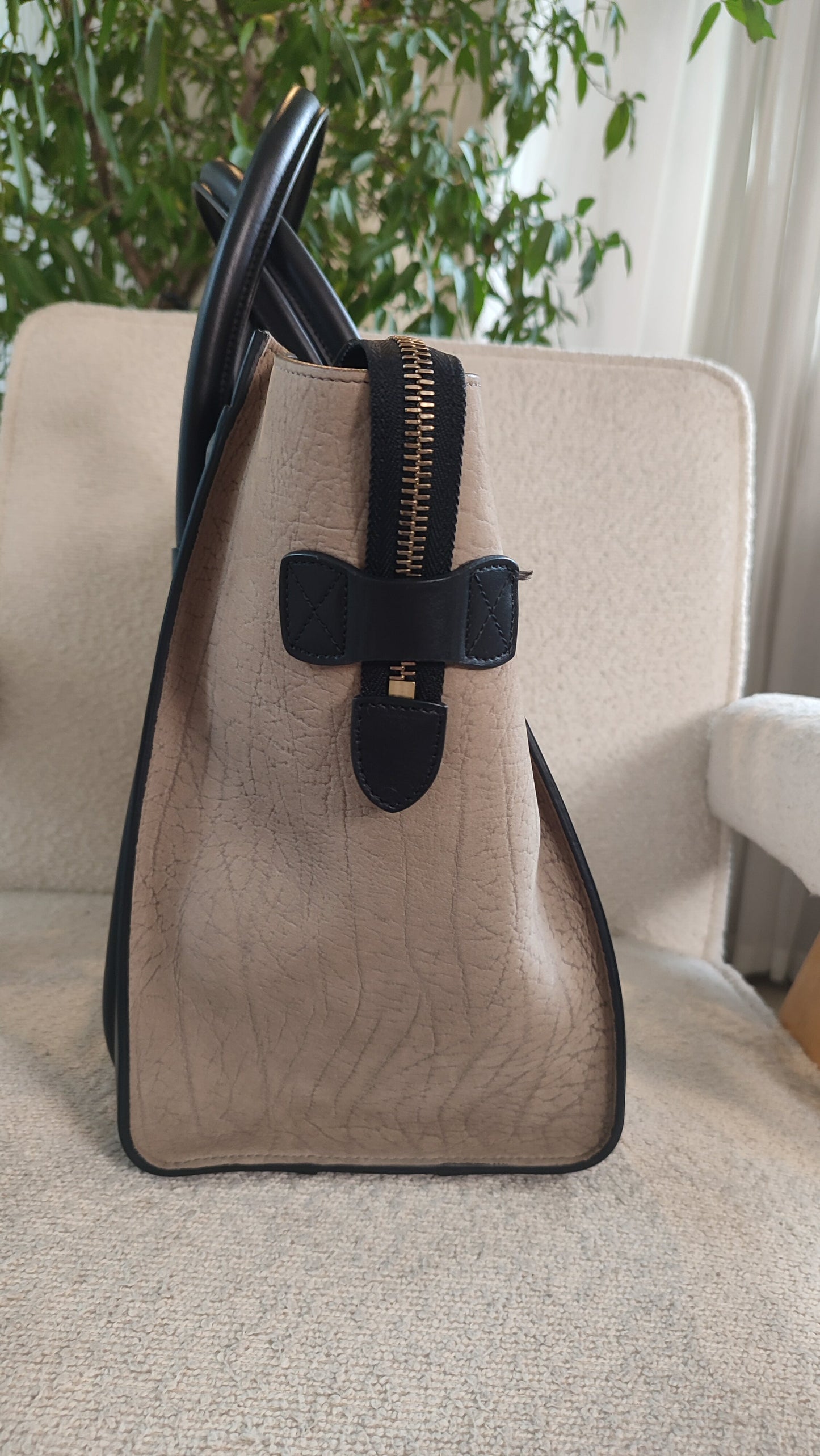 Celine Phantom Luggage Tricolor Bag
