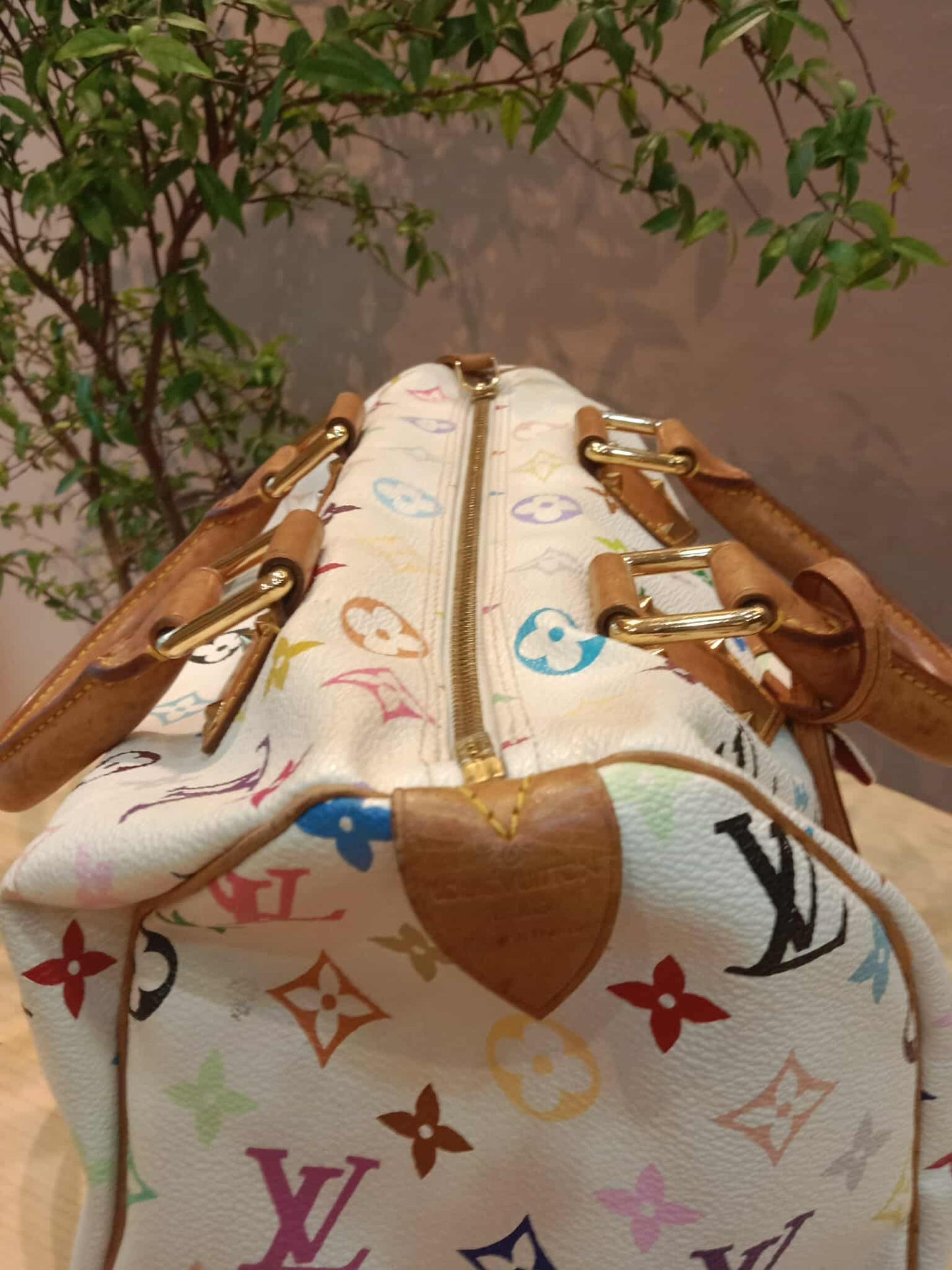 Louis Vuitton Speedy 30 Multicolor Monogram