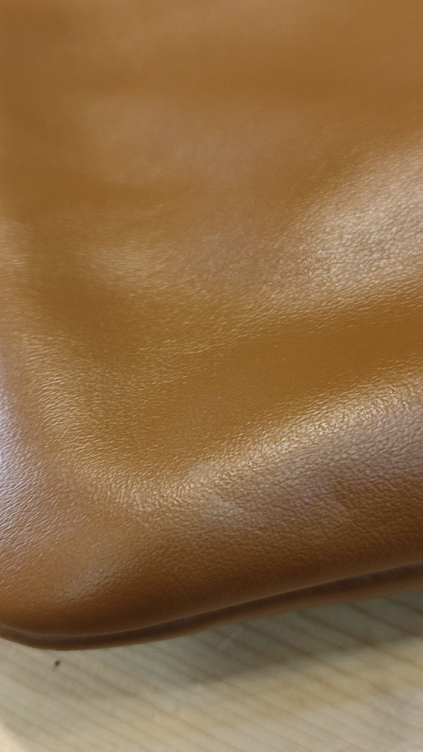 Miu Miu Ivy Tote Bag Cognac Mini Fullset