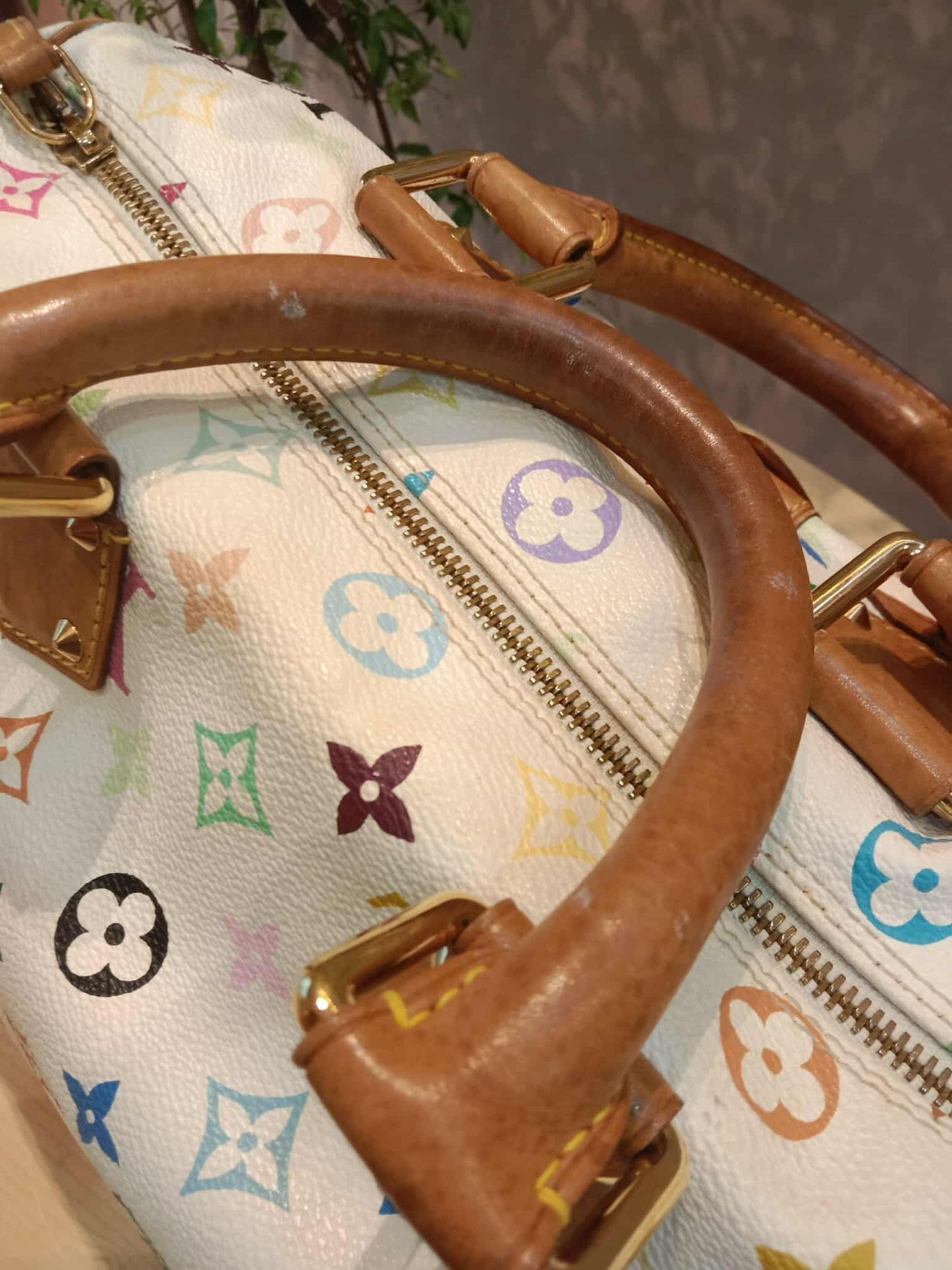Louis Vuitton Speedy 30 Multicolor Monogram