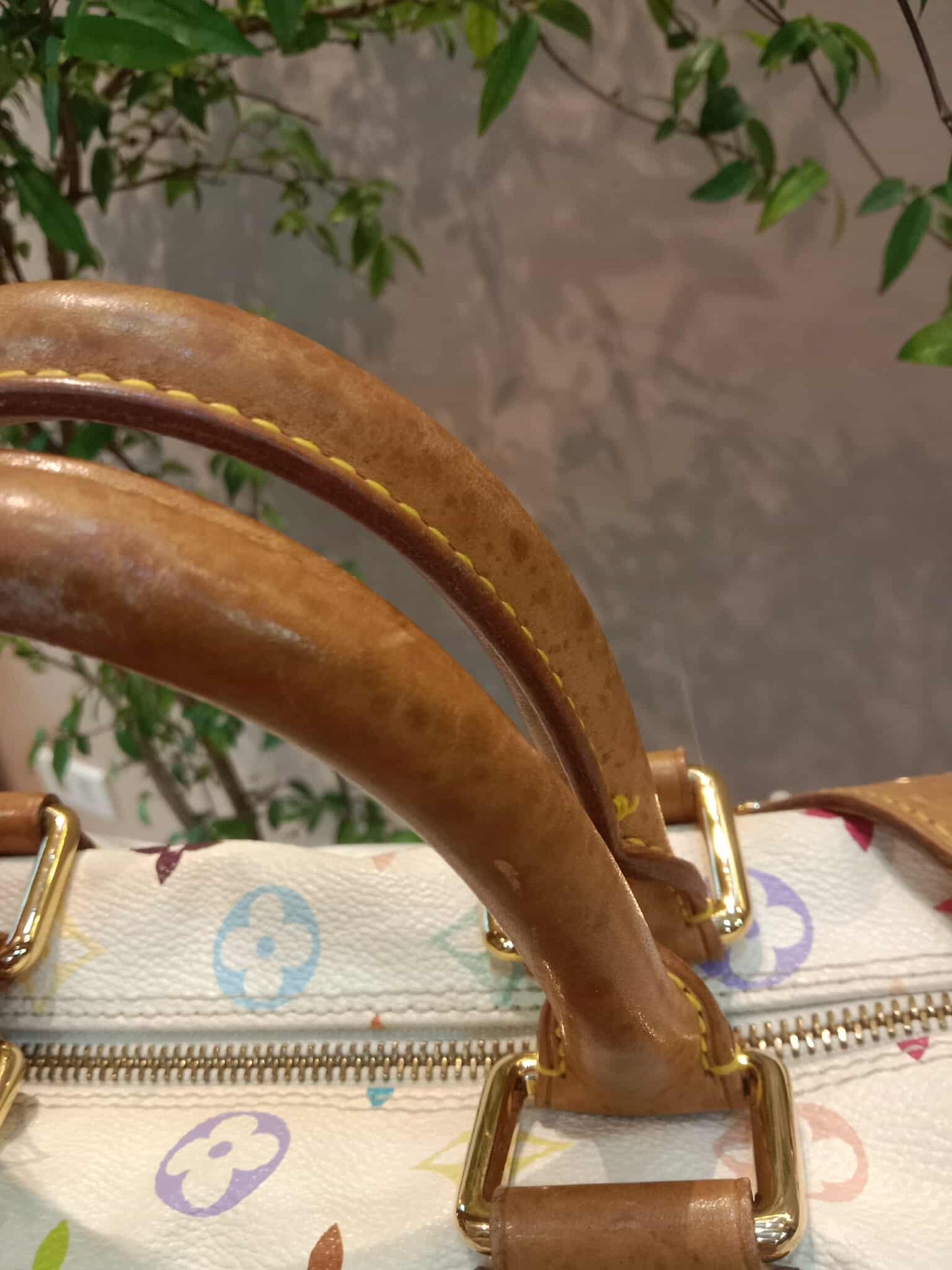 Louis Vuitton Speedy 30 Multicolor Monogram