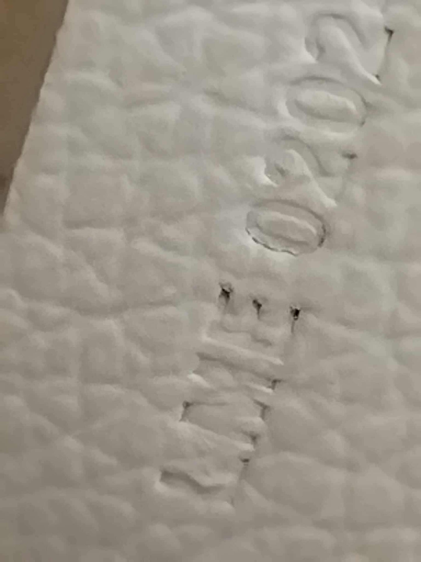 Goyard Bellechasse Biaude White PM