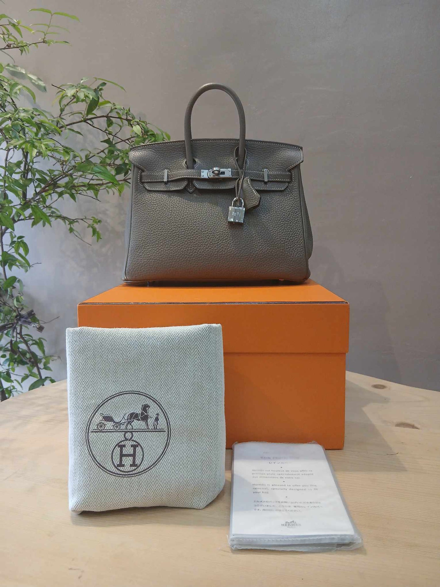 Hermes Birkin 25 Etoupe Clemence Stamp A 2017