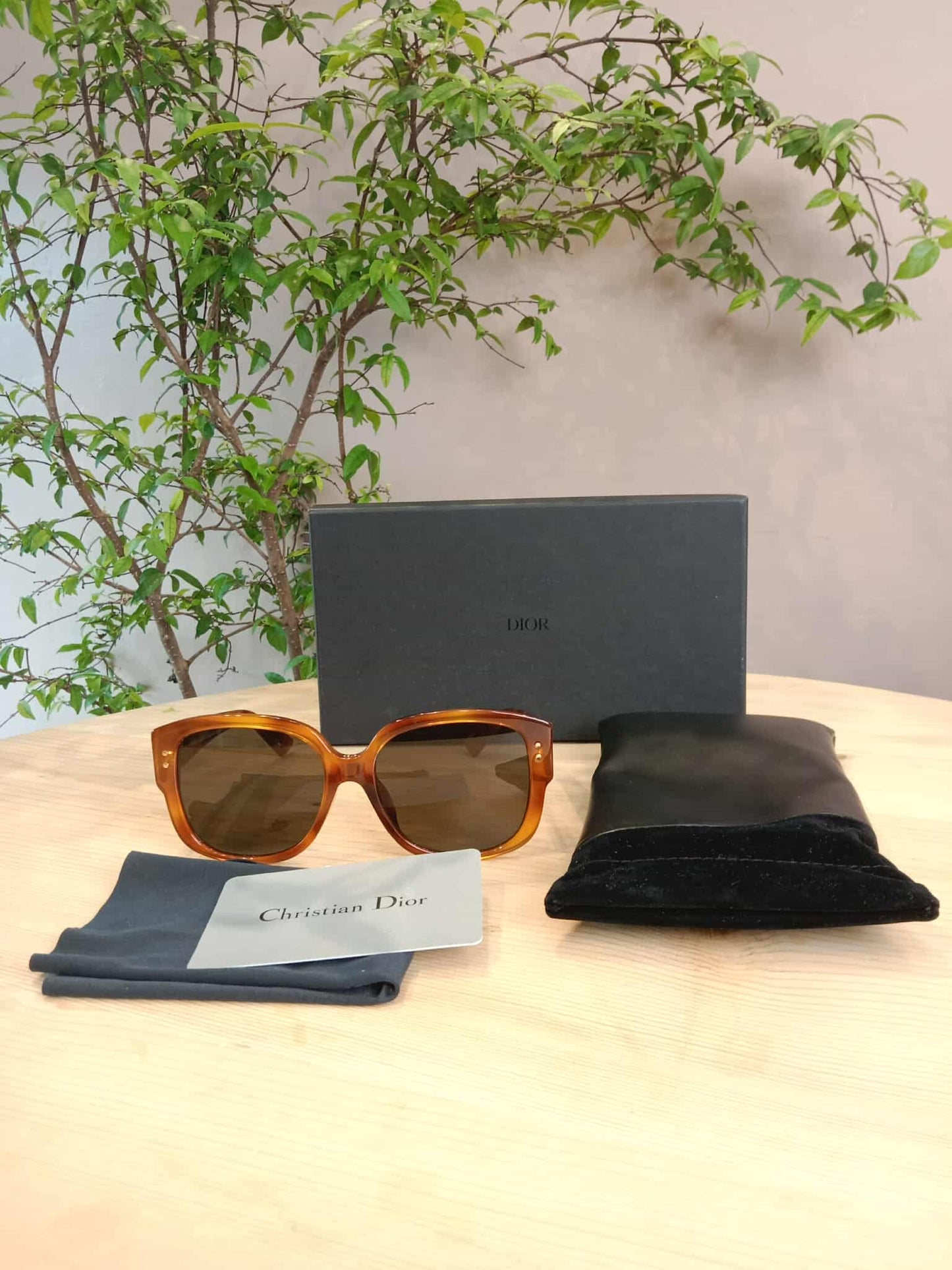 Dior Brown Shades