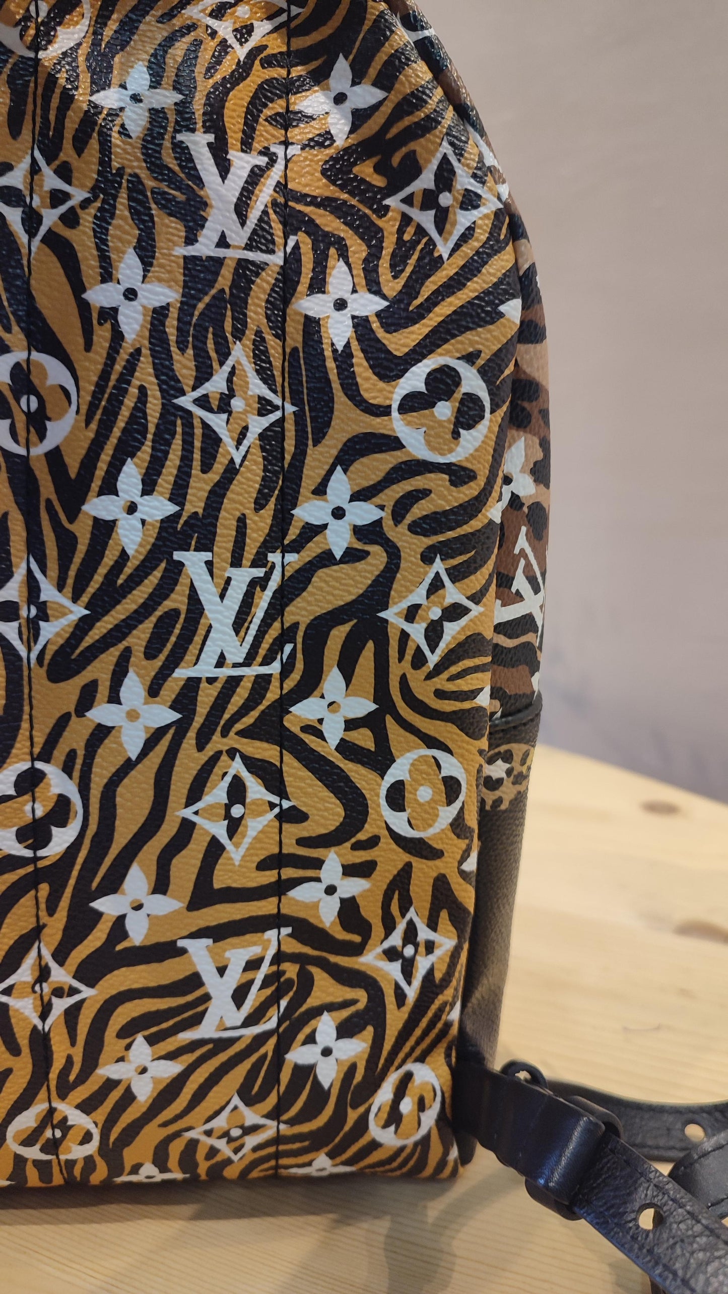 Louis Vuitton Jungle Monogram Palm Springs Backpack