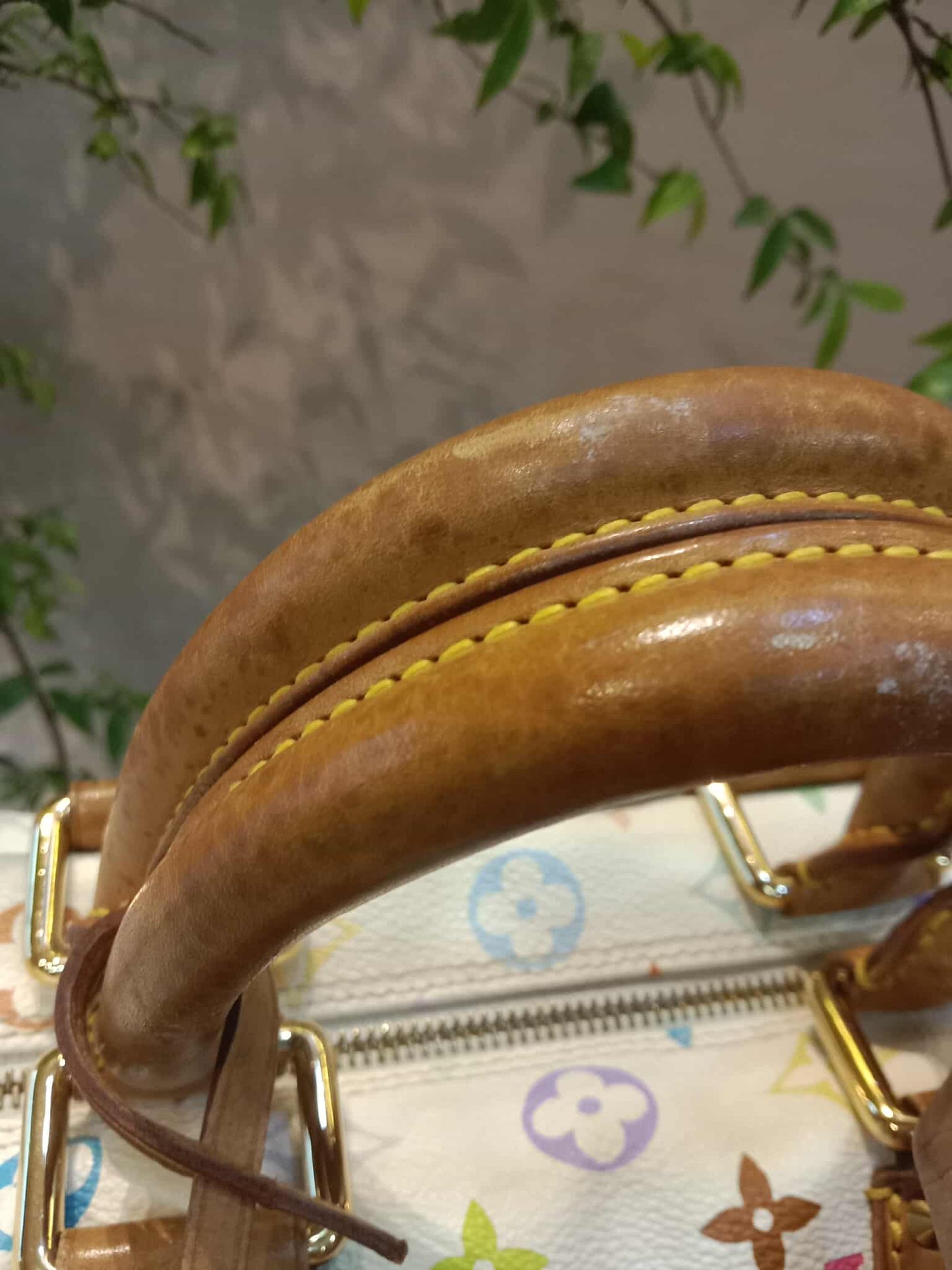 Louis Vuitton Speedy 30 Multicolor Monogram