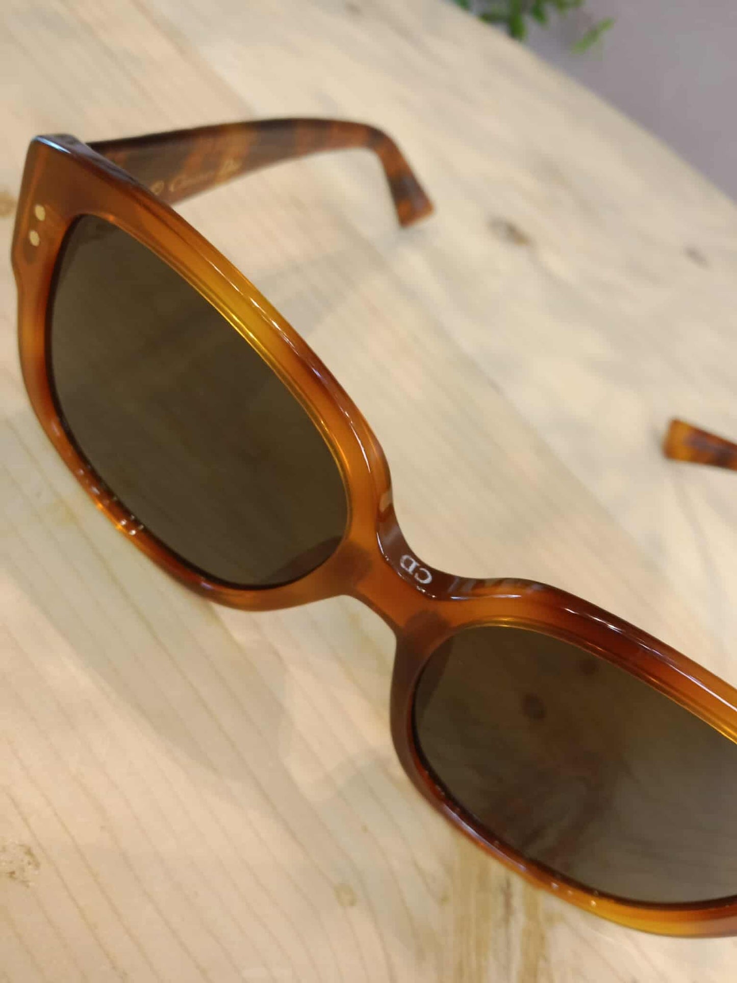 Dior Brown Shades