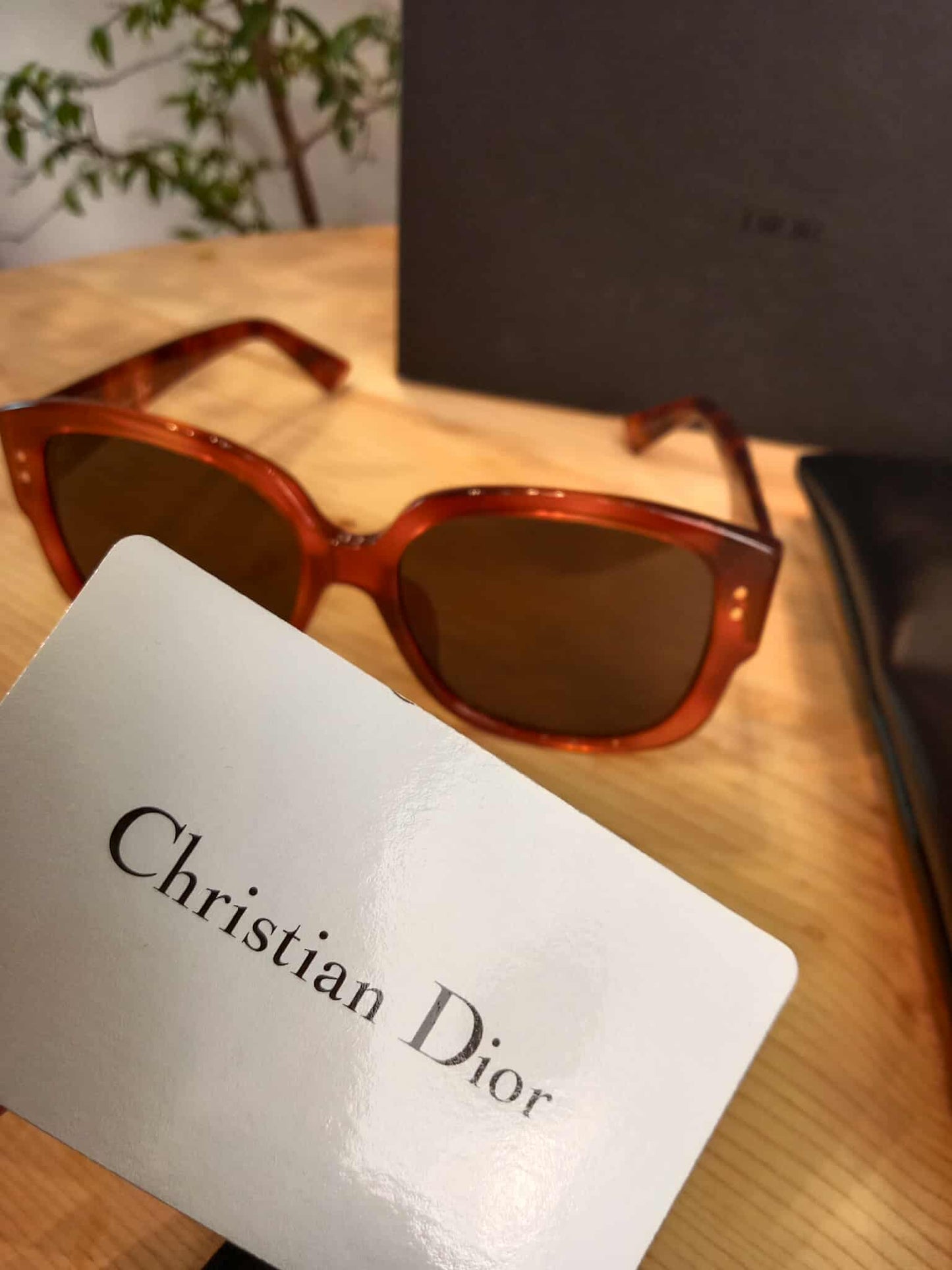 Dior Brown Shades