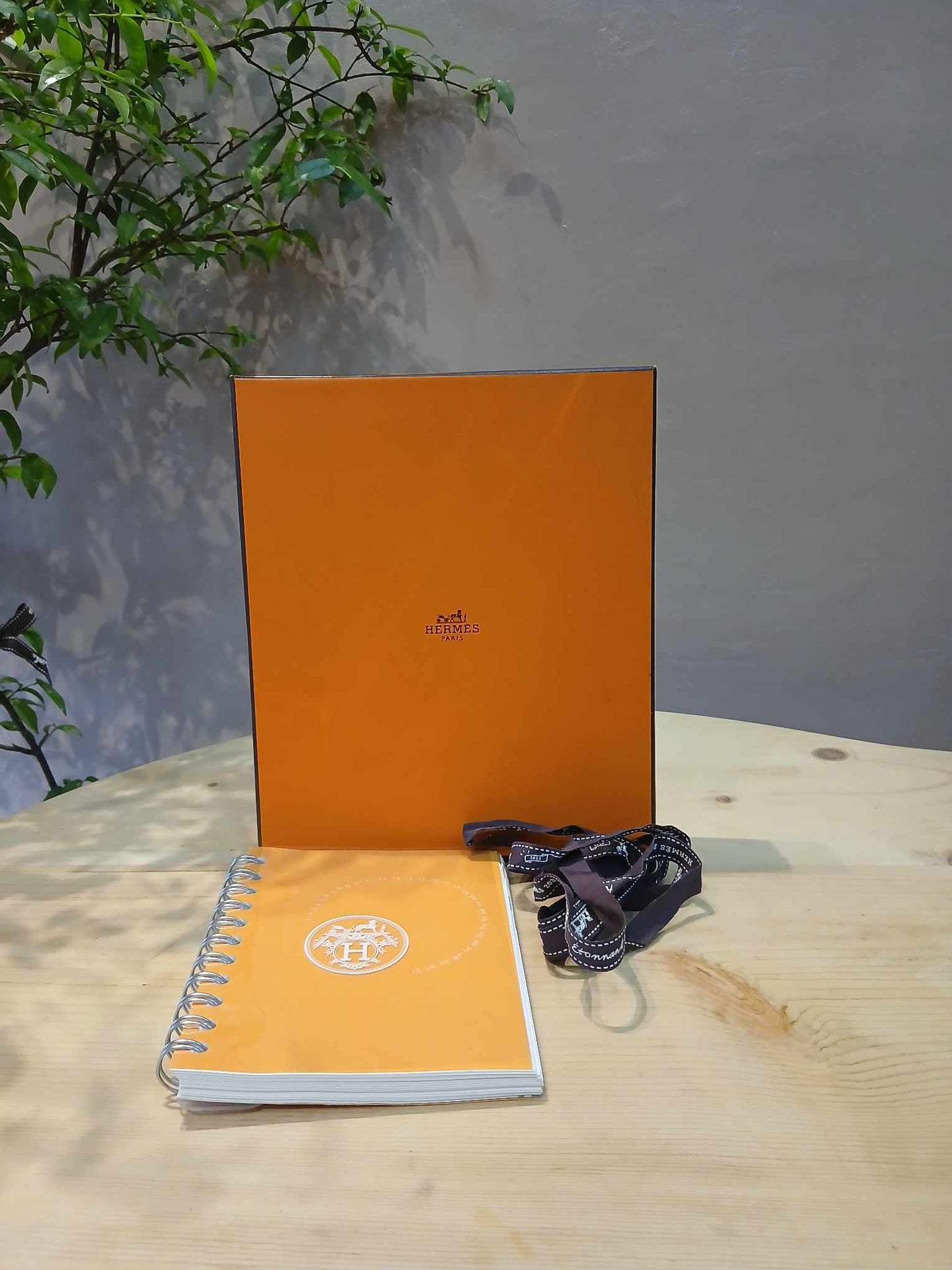 Hermes Notebook Orange