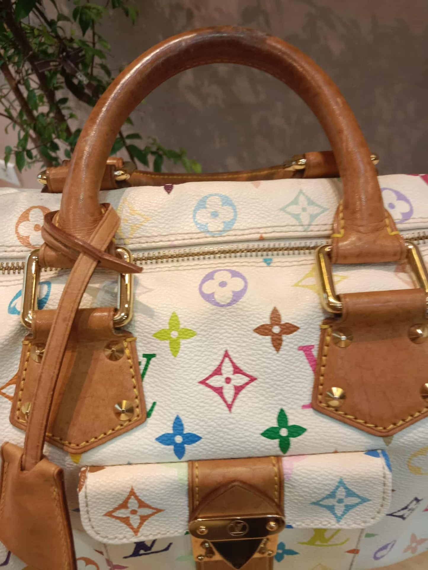 Louis Vuitton Speedy 30 Multicolor Monogram