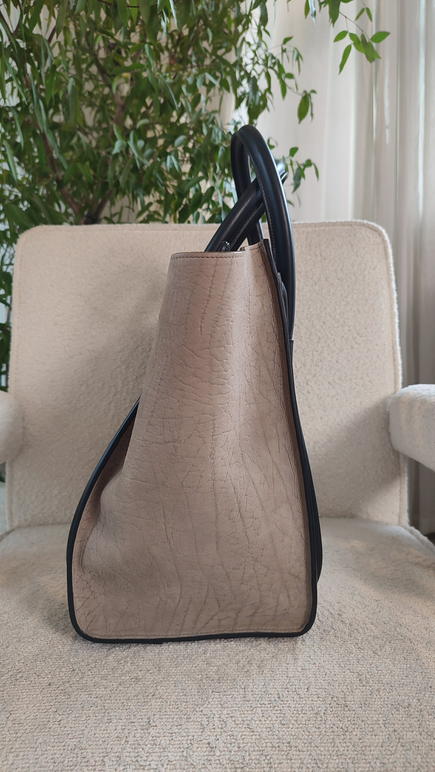 Celine Phantom Luggage Tricolor Bag