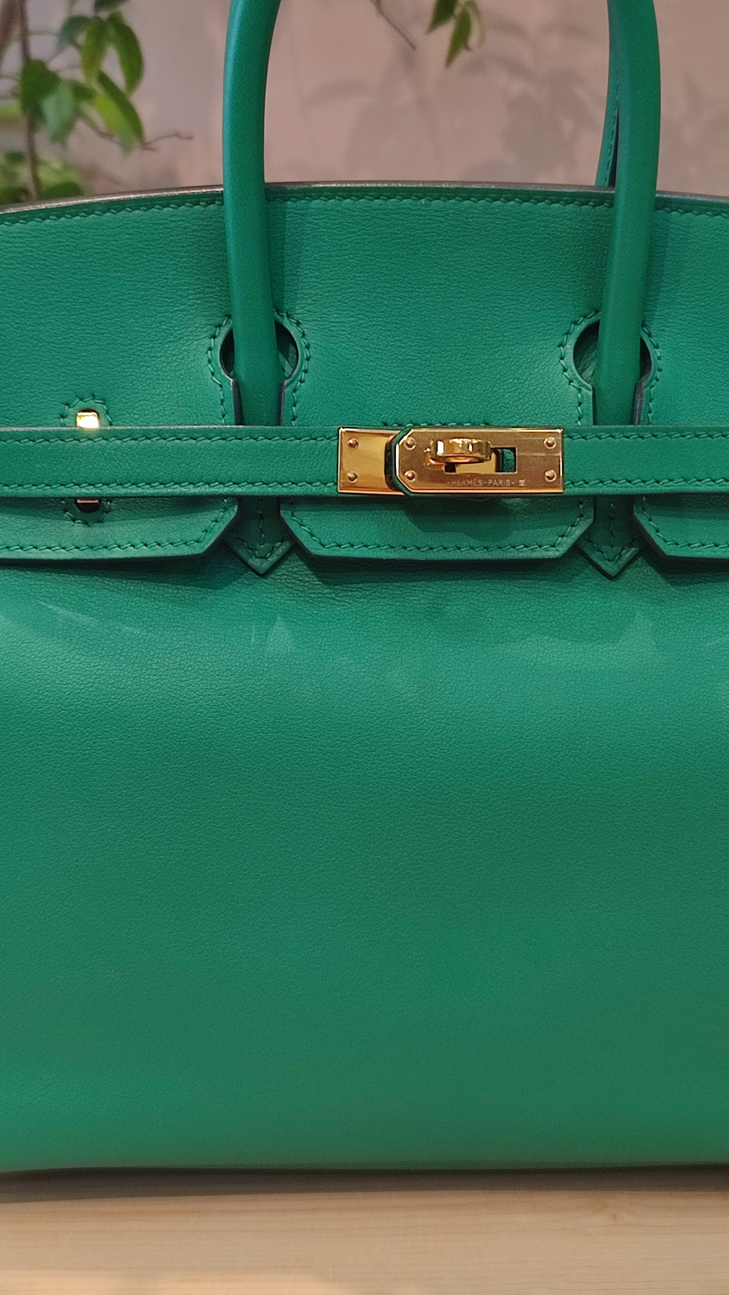 Hermes Birkin 25 Vert Vertigo Swift Stamp A 2017 Fullset