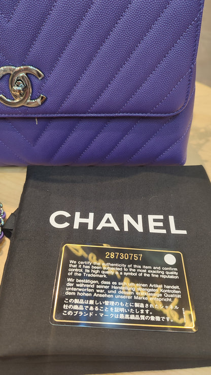 Chanel Chevron Cocohandle Medium Purple Series 28