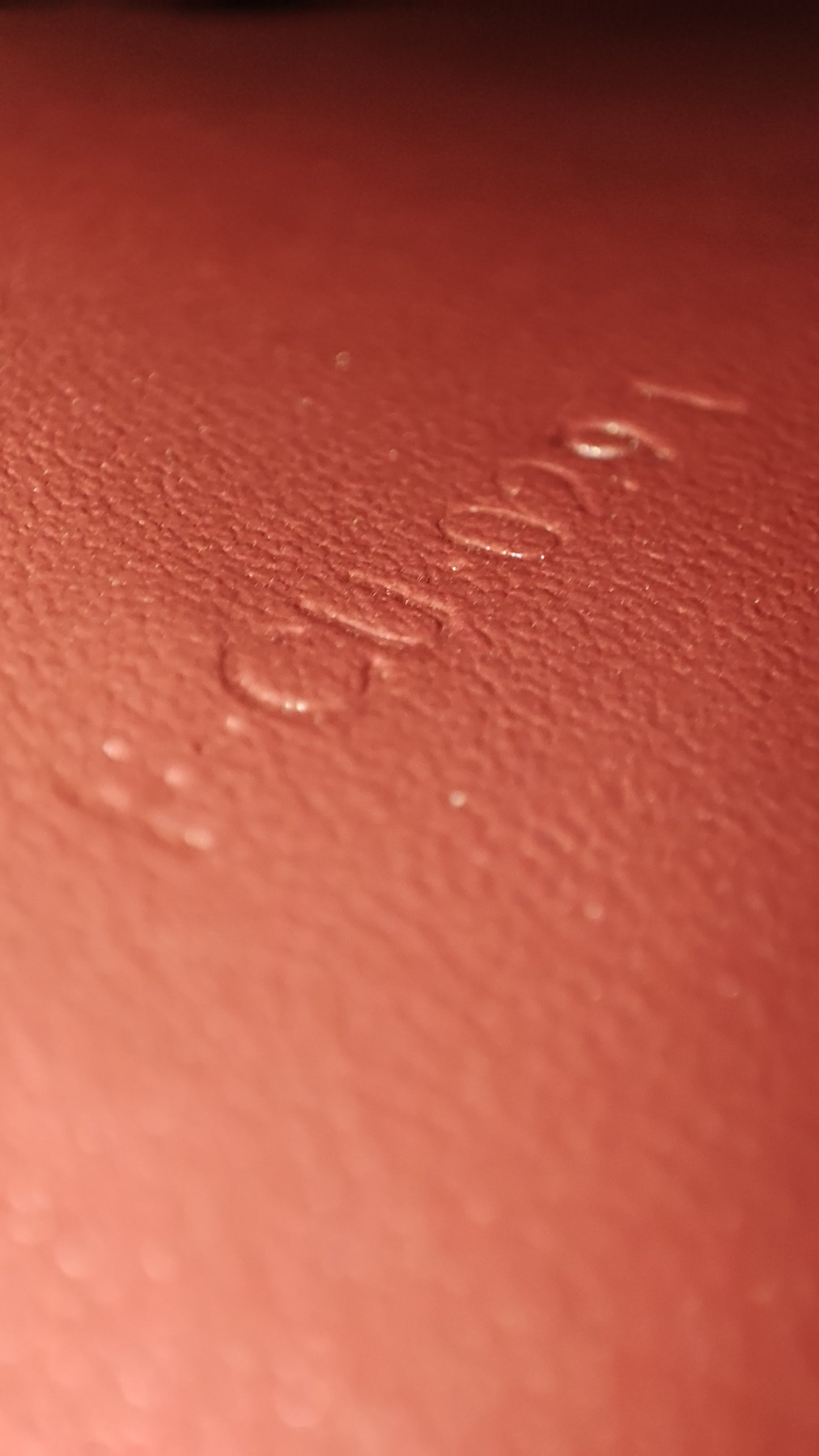 Celine Medium Classic Box Bag In Burgundy Calfskin Leather