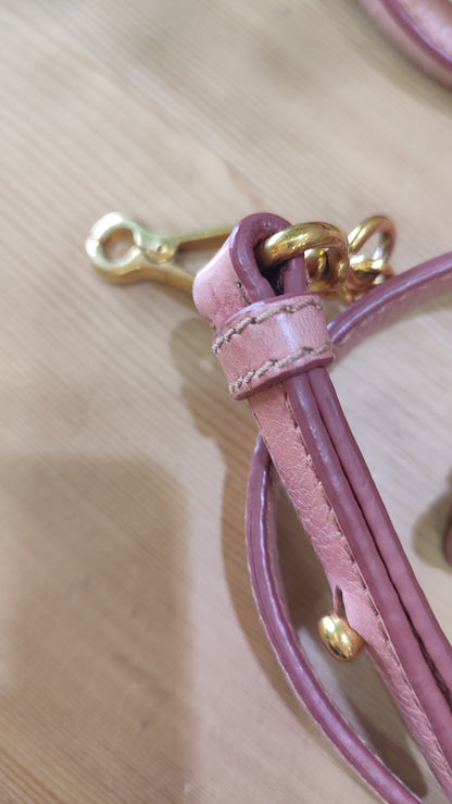 Miu Miu Pink Leather Bow Bag