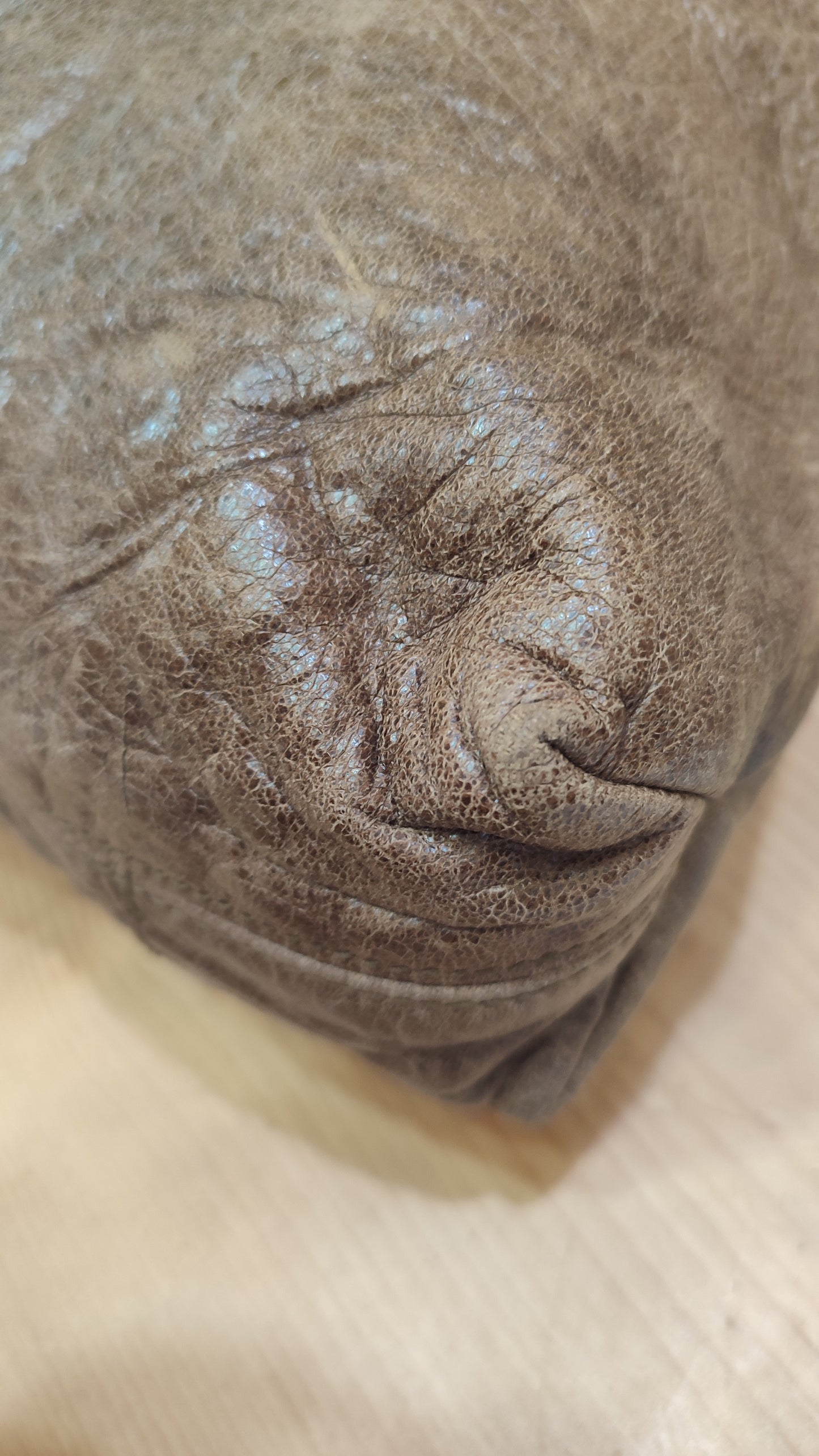 Balenciaga Motocross Brief Giant Chocolate Brown Bag