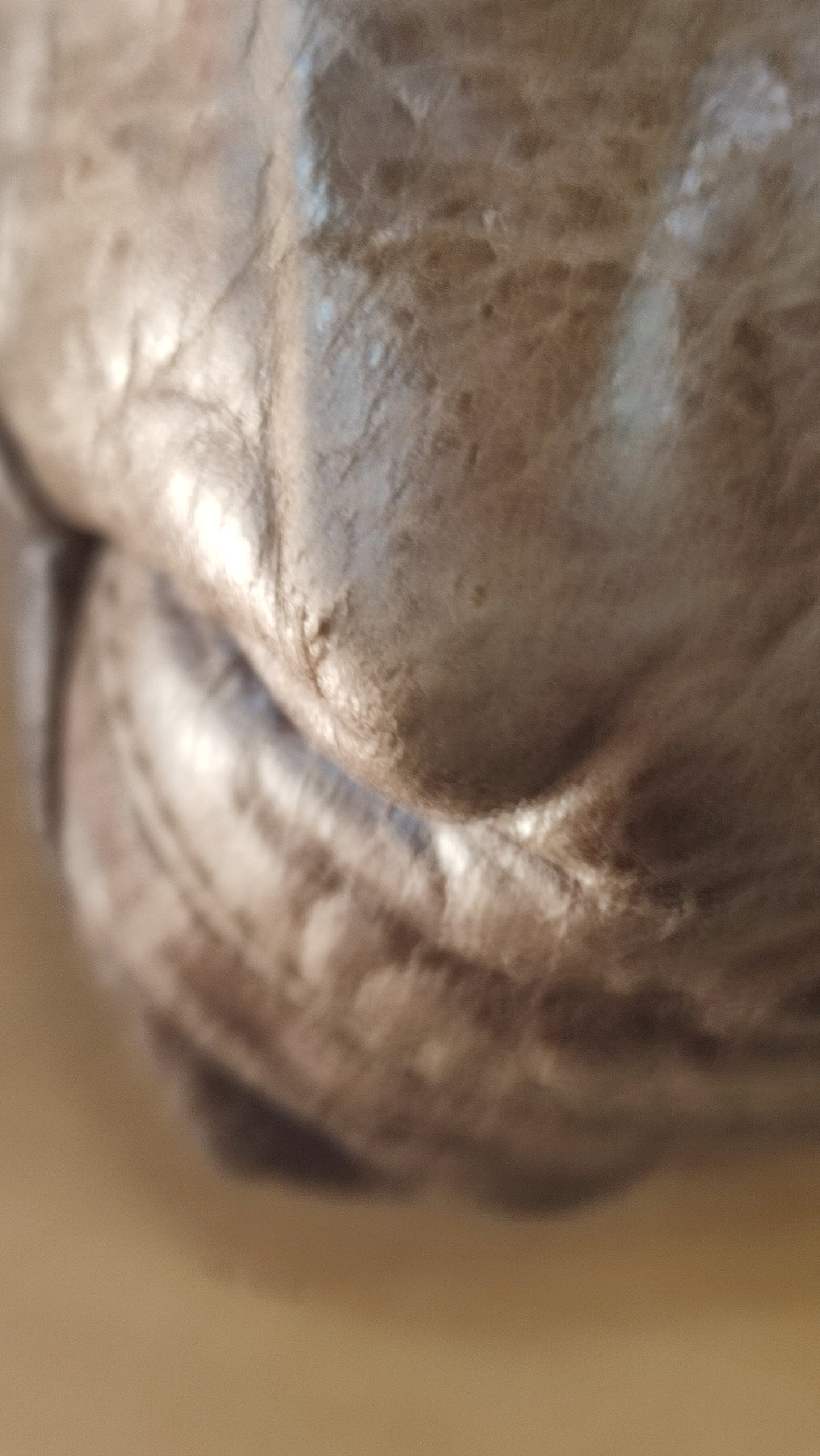 Balenciaga Motocross Brief Giant Chocolate Brown Bag