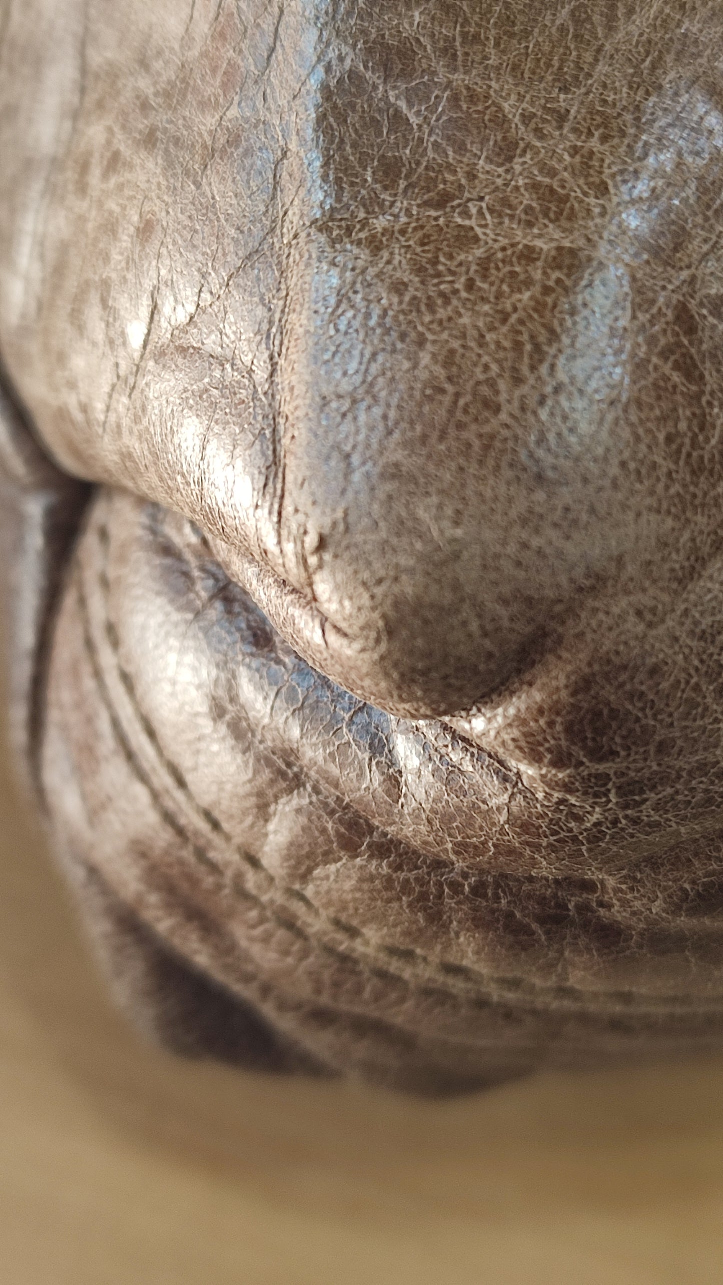 Balenciaga Motocross Brief Giant Chocolate Brown Bag