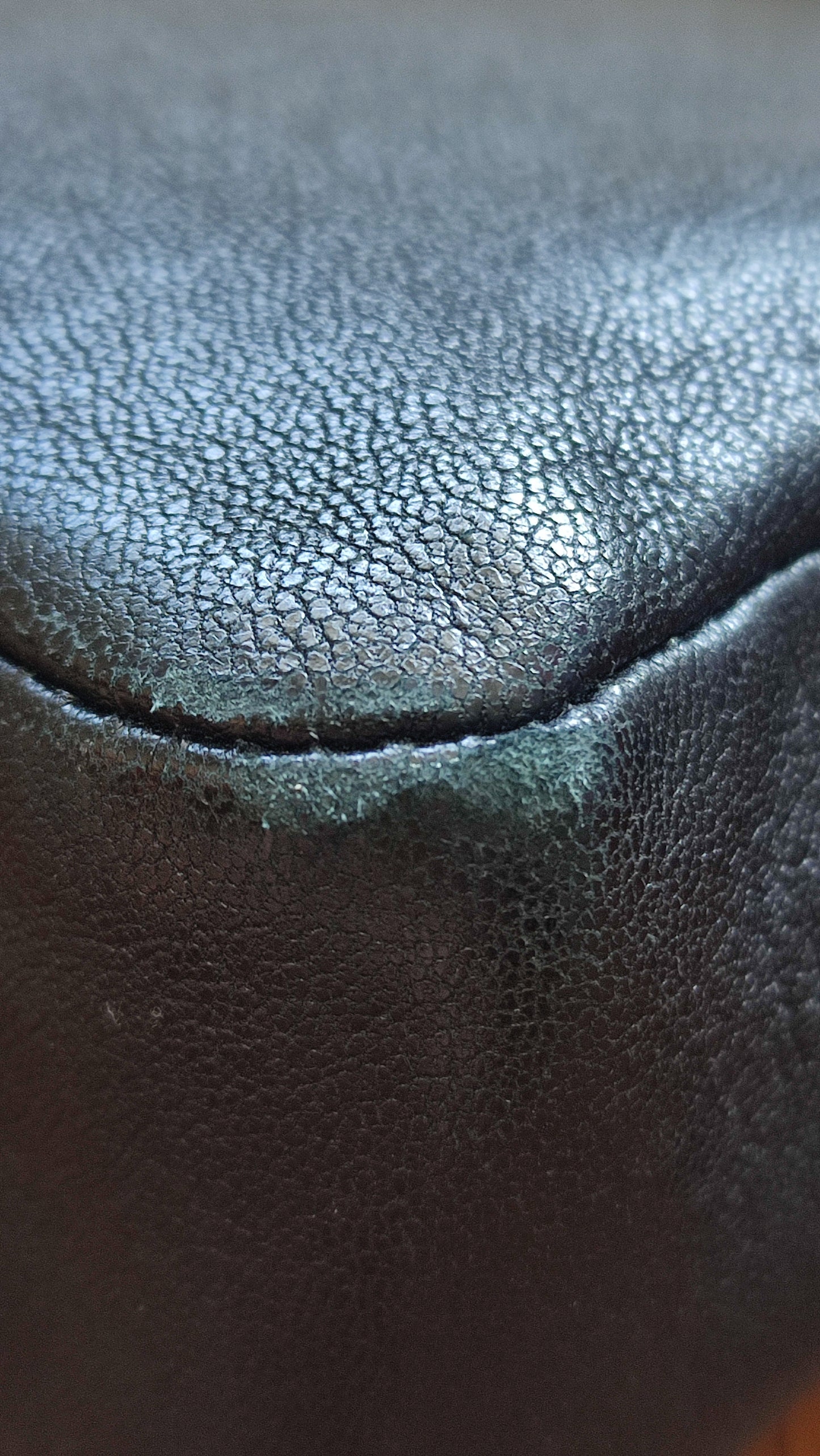 Saint Laurent Lou Camera Bag Lambskin Black