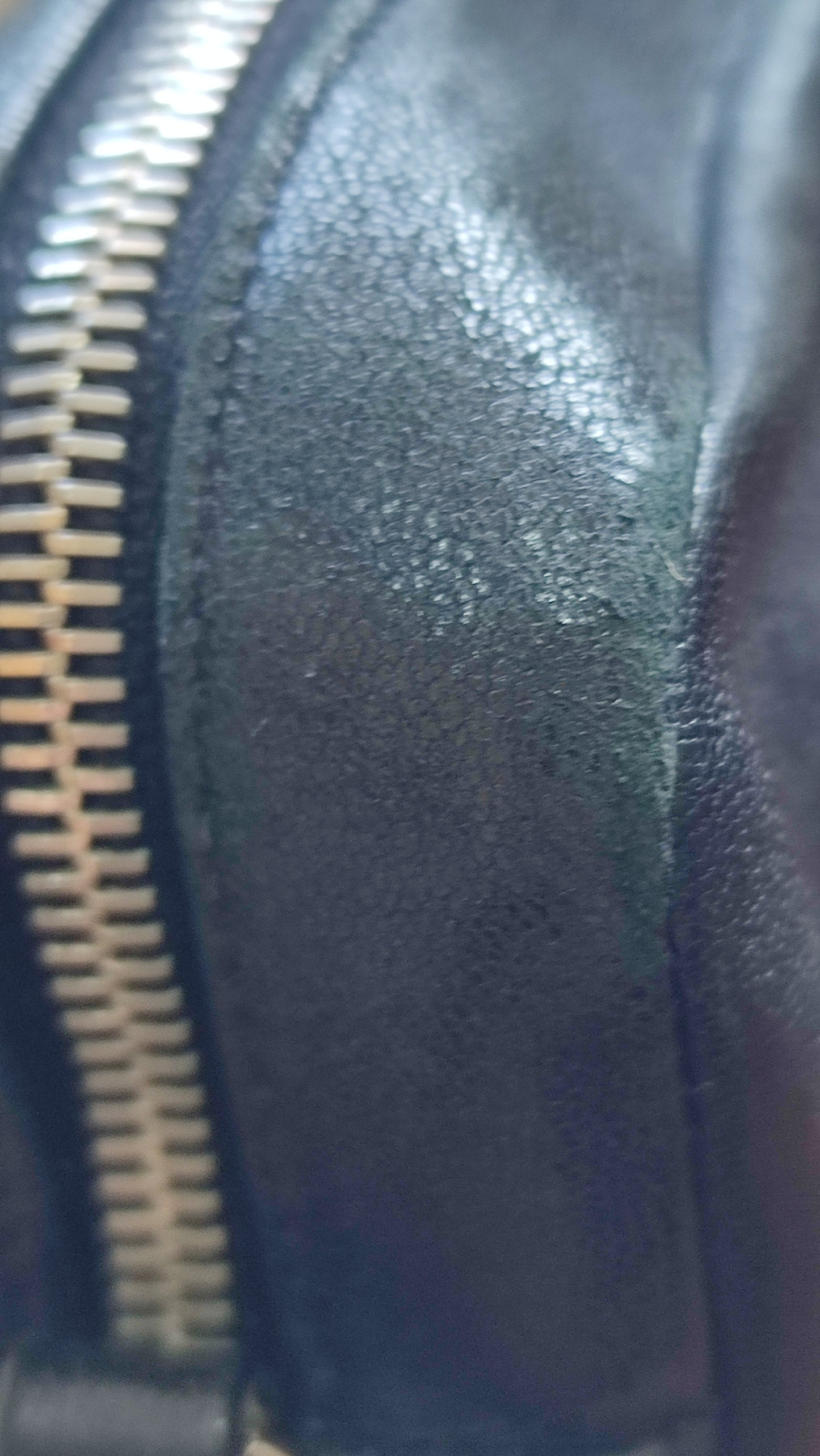 Saint Laurent Lou Camera Bag Lambskin Black