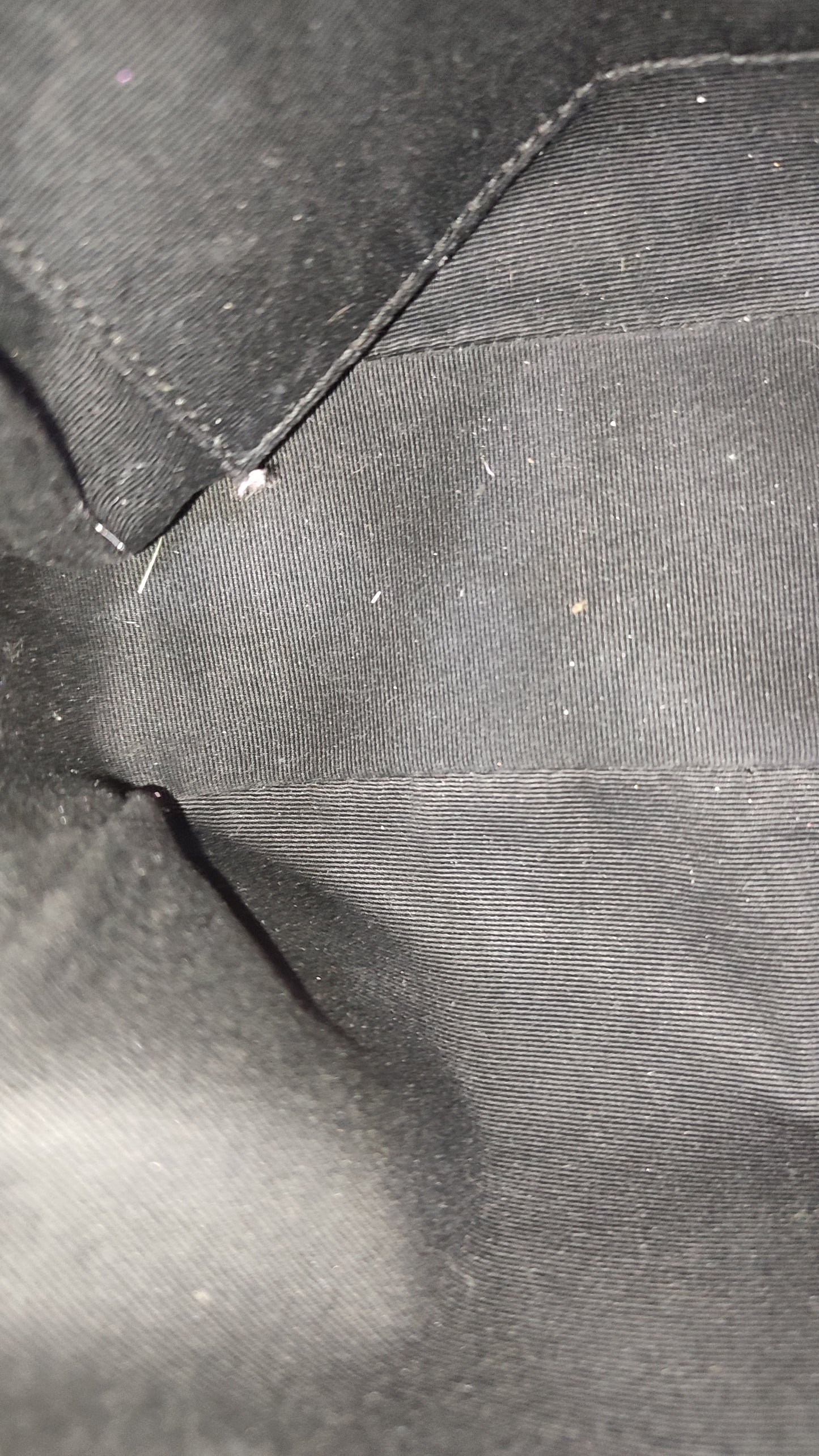 Saint Laurent Lou Camera Bag Lambskin Black