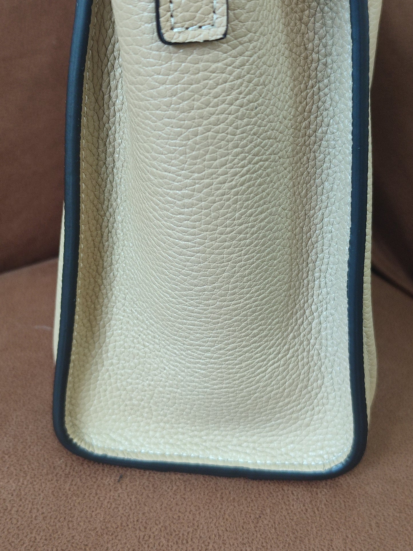 Celine Luggage Bag Dune Nano