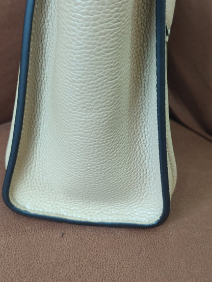 Celine Luggage Bag Dune Nano