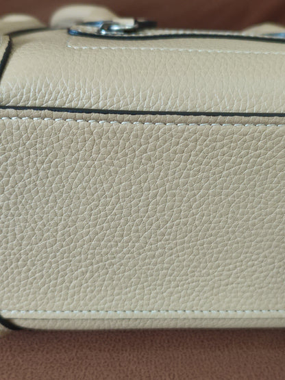Celine Luggage Bag Dune Nano