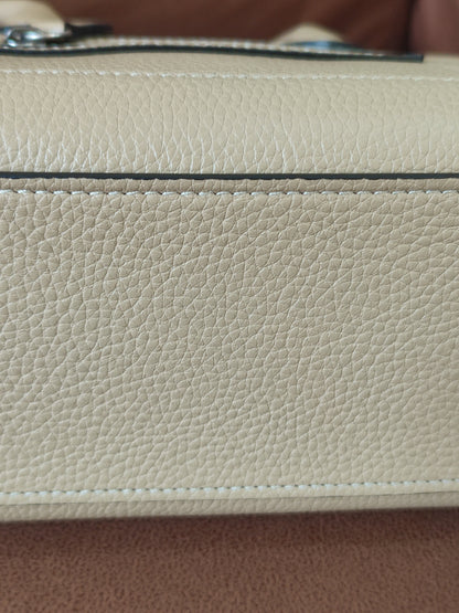 Celine Luggage Bag Dune Nano