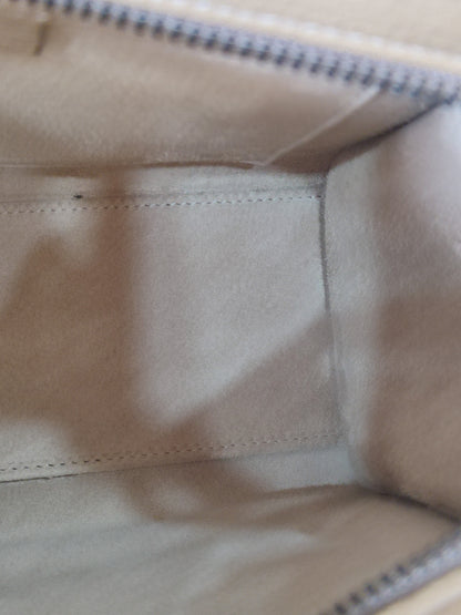 Celine Luggage Bag Dune Nano