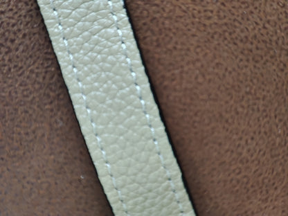 Celine Luggage Bag Dune Nano