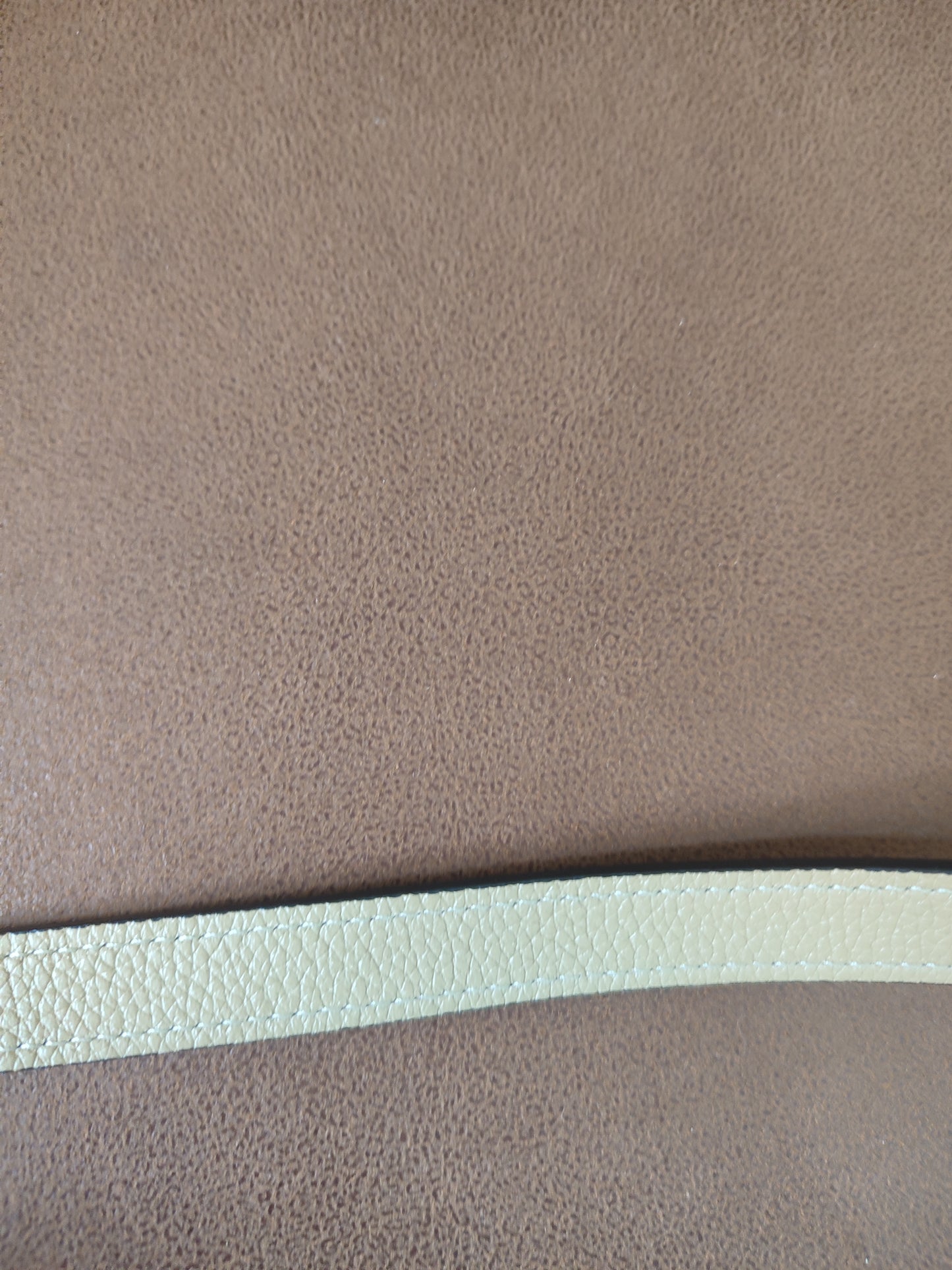 Celine Luggage Bag Dune Nano