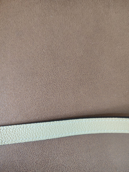Celine Luggage Bag Dune Nano