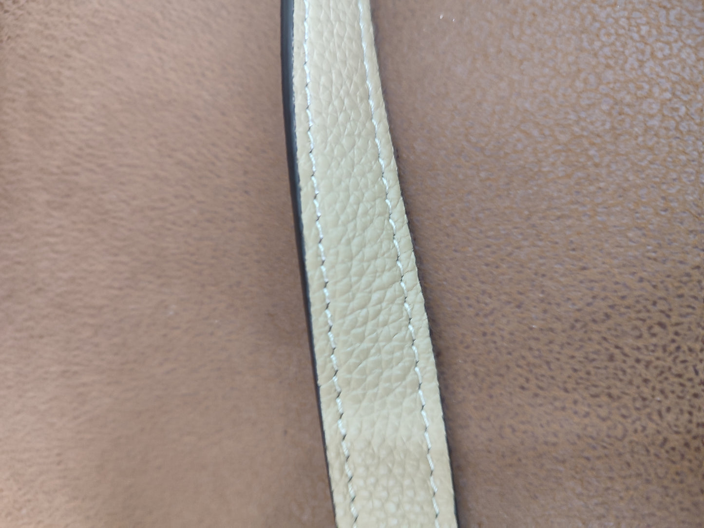 Celine Luggage Bag Dune Nano