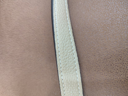 Celine Luggage Bag Dune Nano