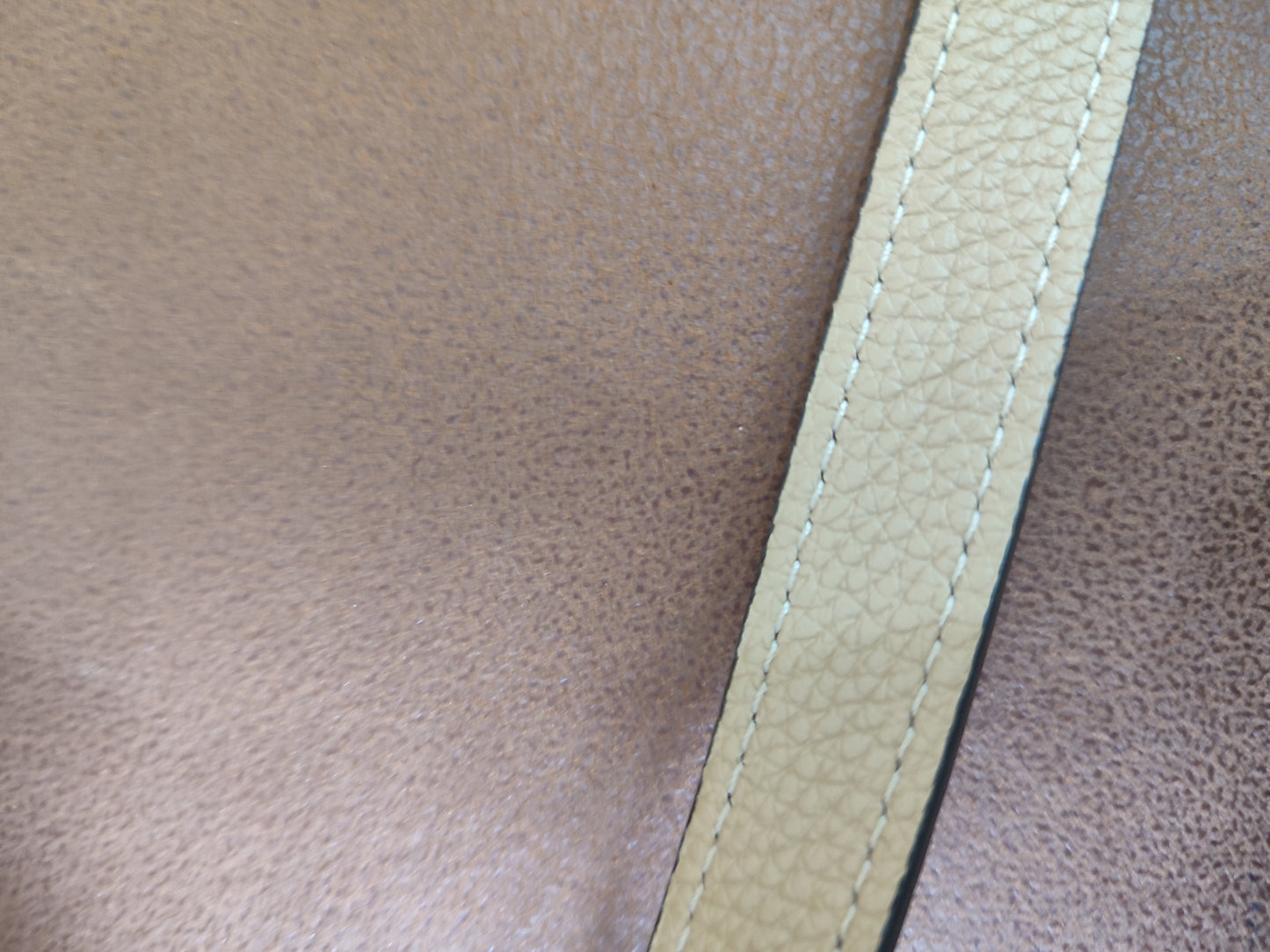 Celine Luggage Bag Dune Nano