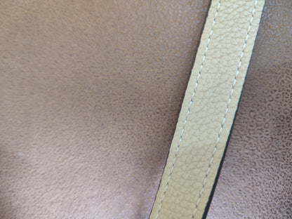 Celine Luggage Bag Dune Nano