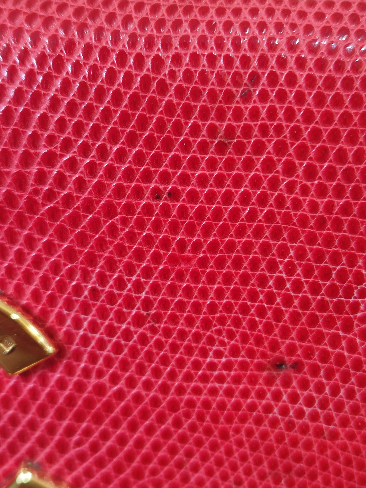 Chanel Vintage Lizard Flap Bag Red Series 1