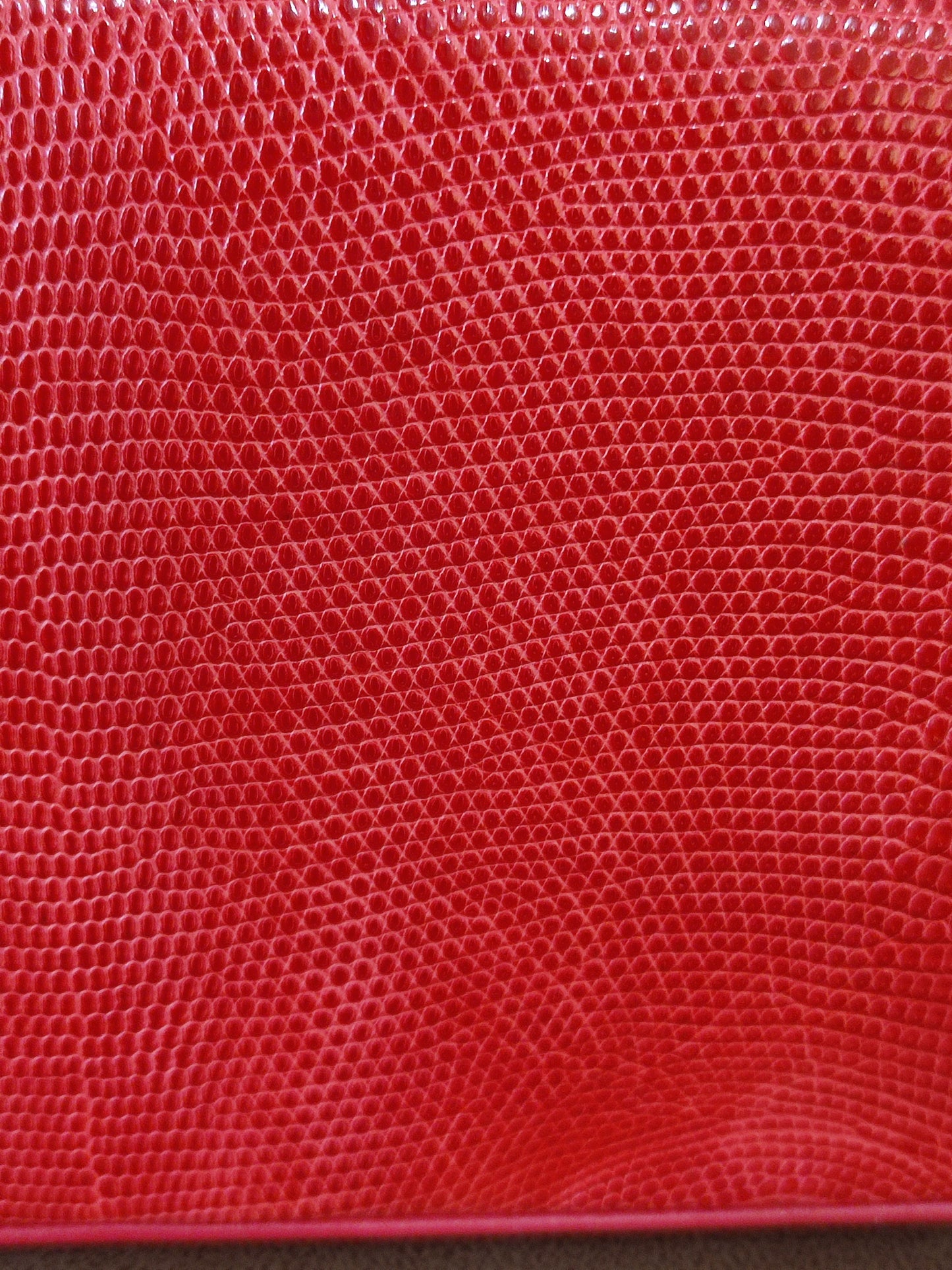 Chanel Vintage Lizard Flap Bag Red Series 1